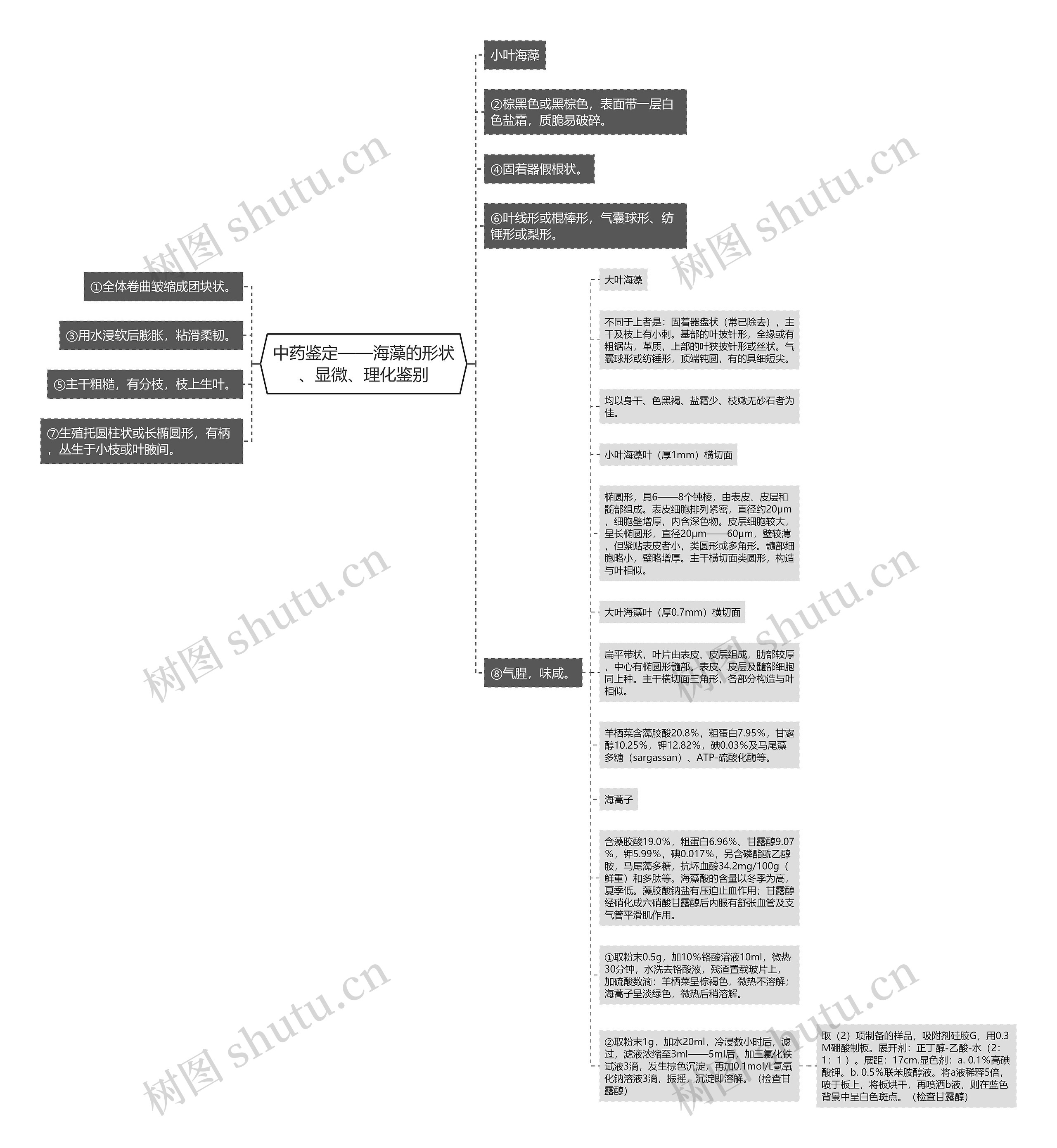 中药鉴定——海藻的形状、显微、理化鉴别思维导图