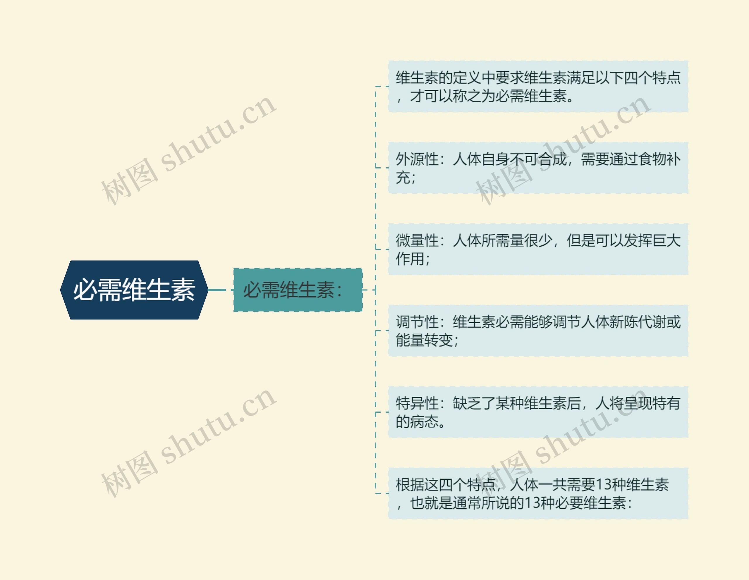 必需维生素思维导图