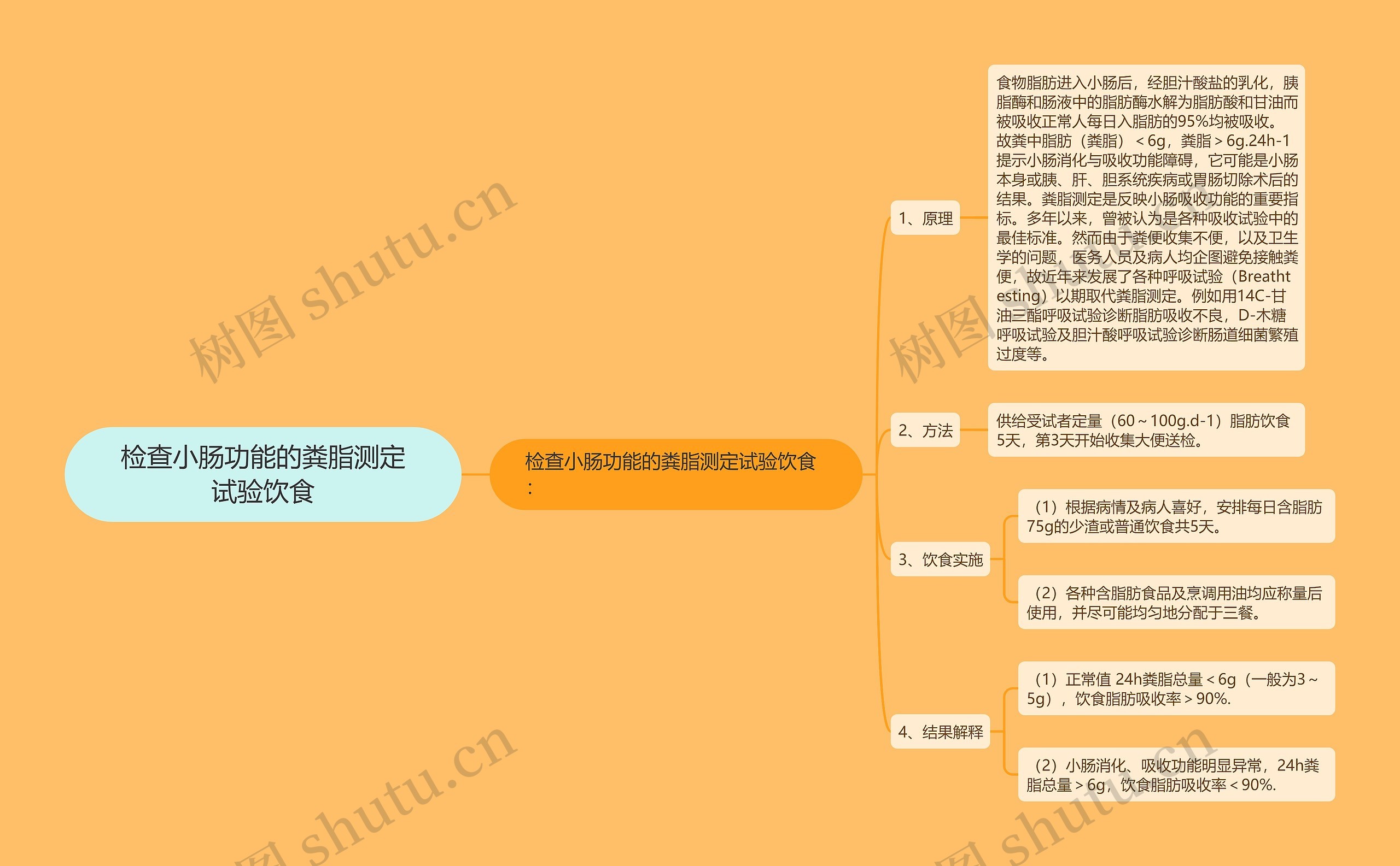 检查小肠功能的粪脂测定试验饮食思维导图