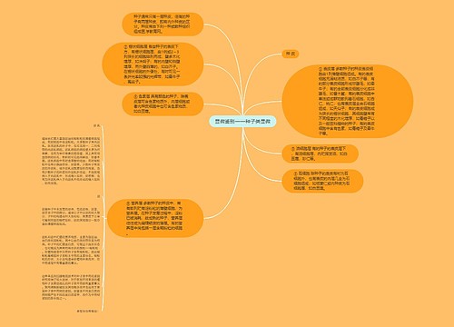 显微鉴别——种子类显微