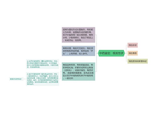 中药鉴定：根类性状