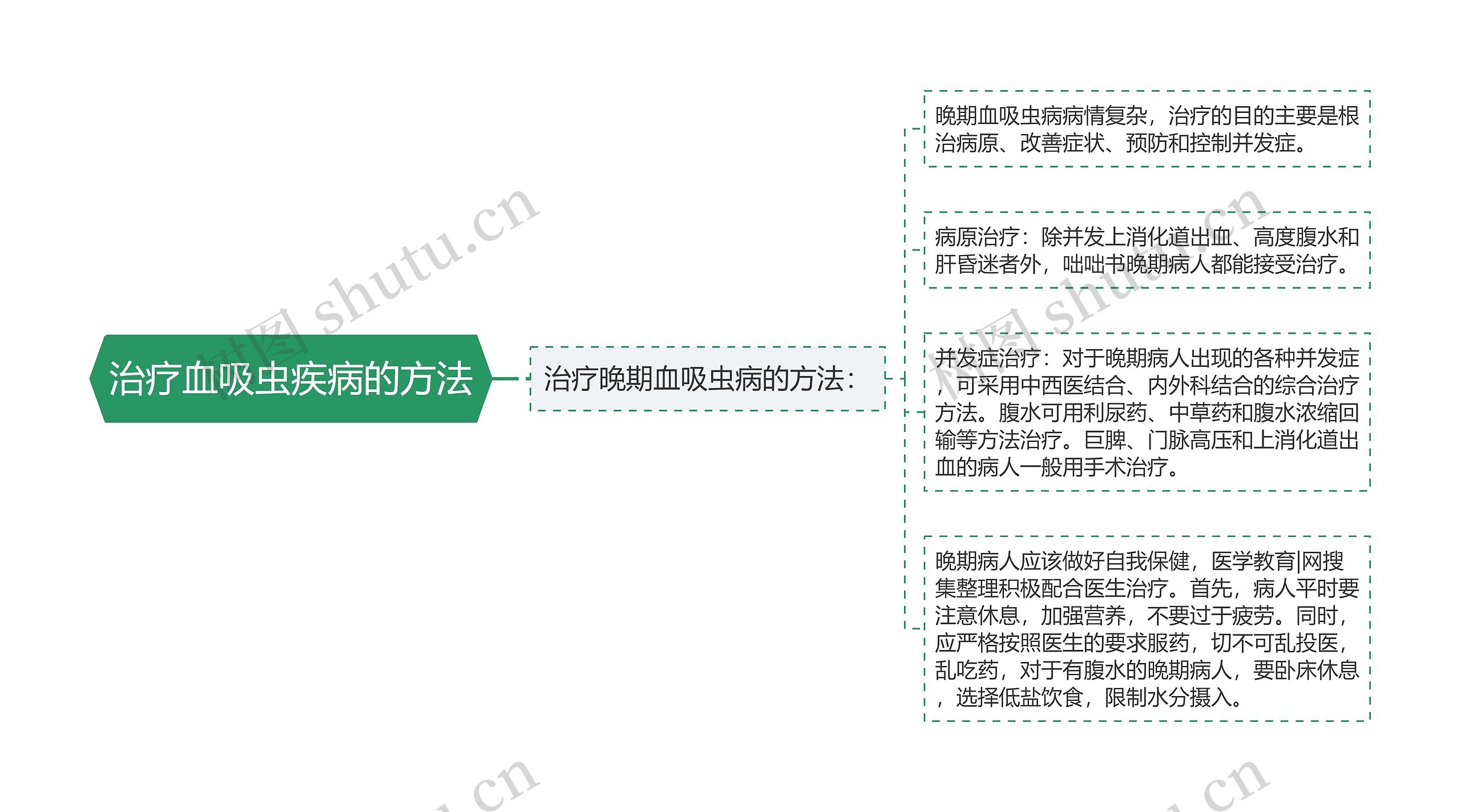 治疗血吸虫疾病的方法思维导图