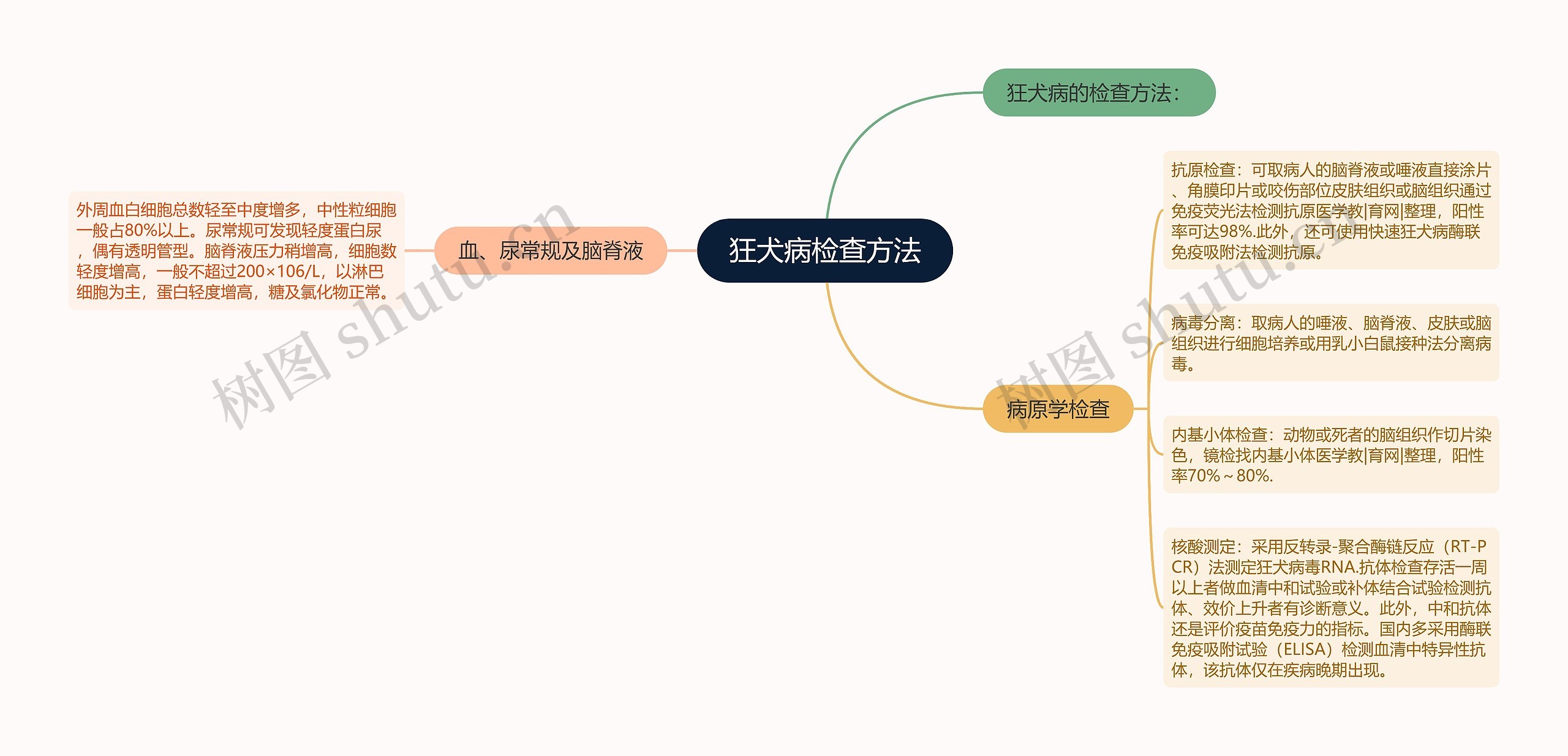 狂犬病检查方法思维导图