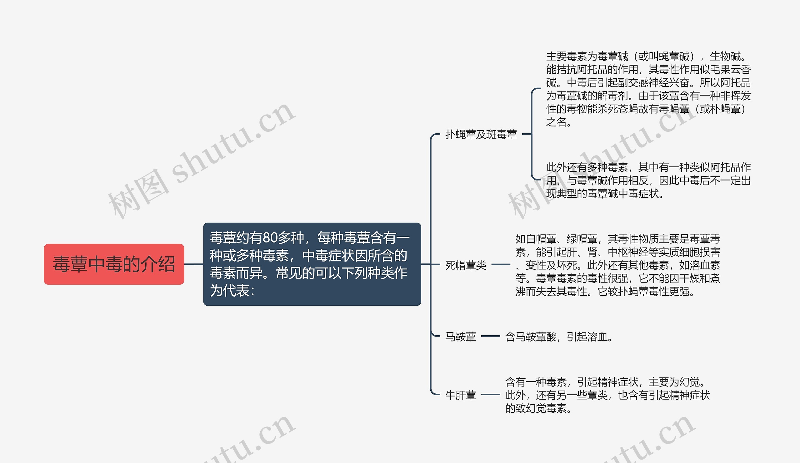 毒蕈中毒的介绍思维导图