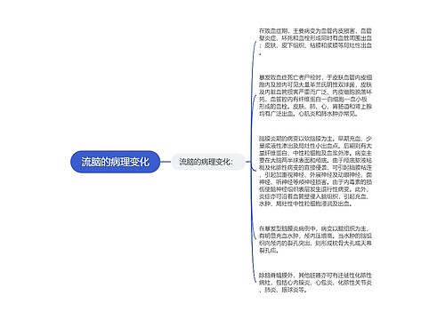 流脑的病理变化