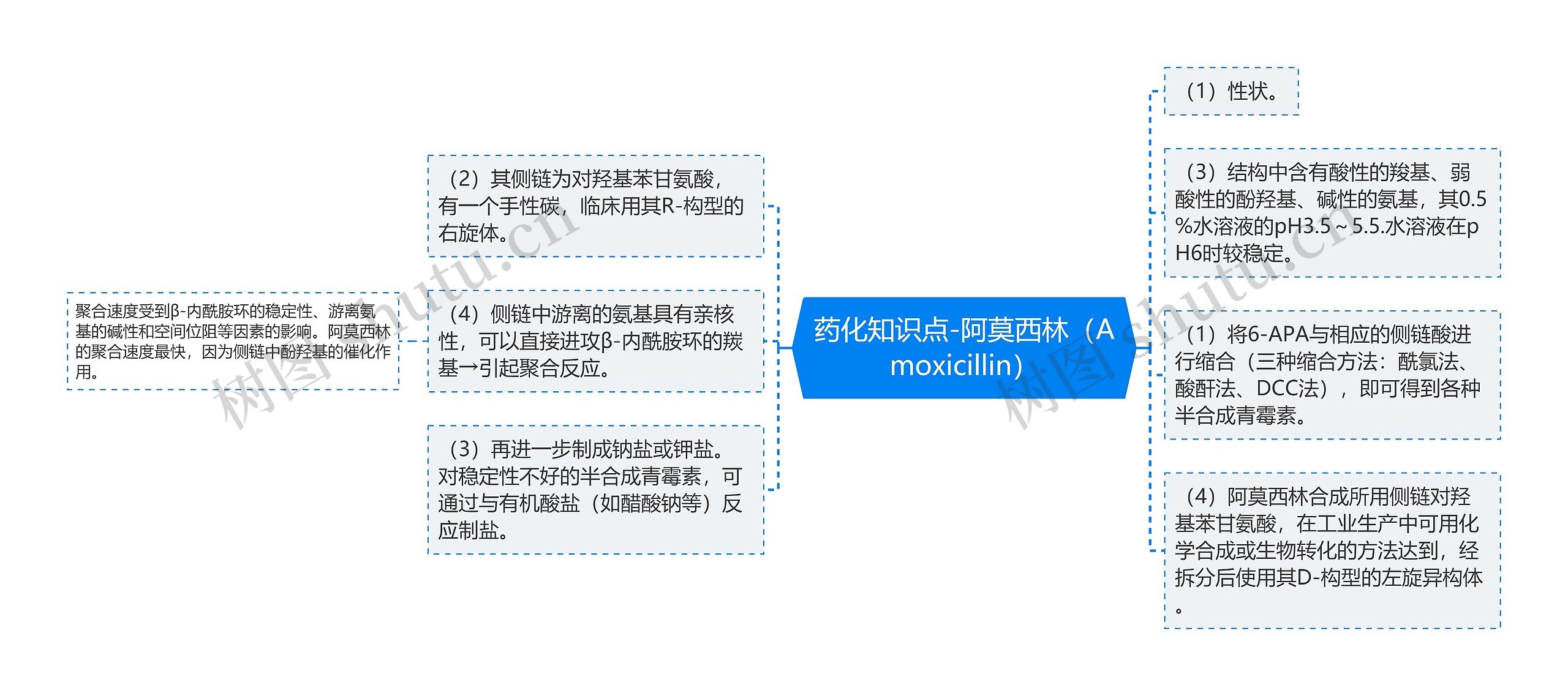 药化知识点-阿莫西林（Amoxicillin）思维导图