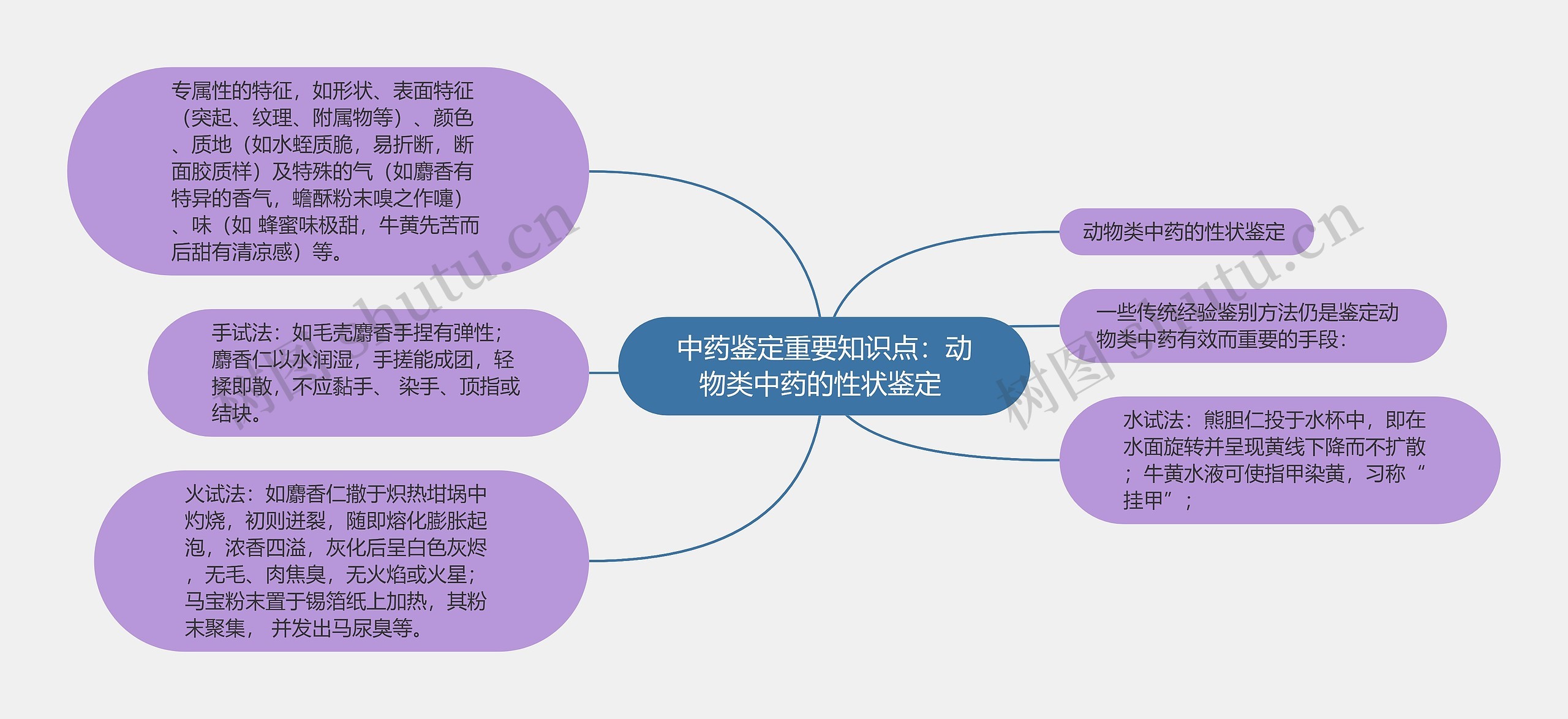 中药鉴定重要知识点：动物类中药的性状鉴定 思维导图