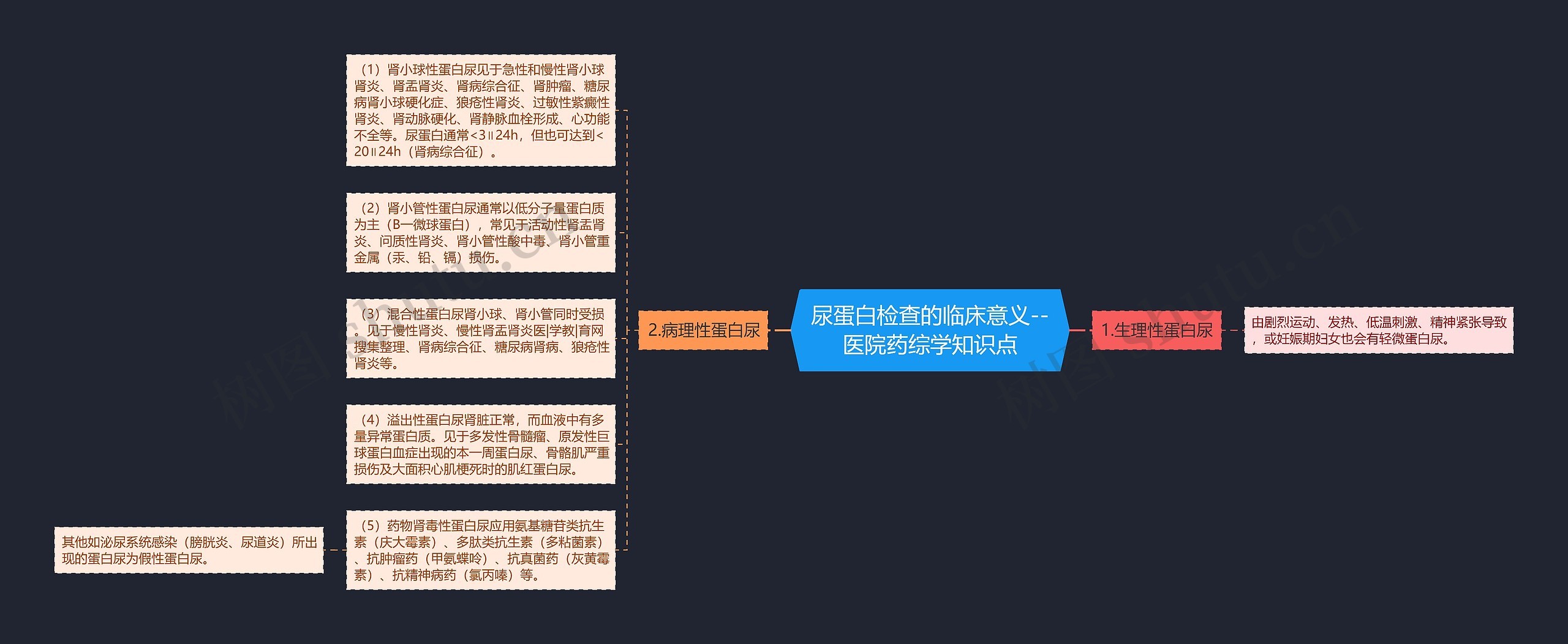 尿蛋白检查的临床意义--医院药综学知识点思维导图