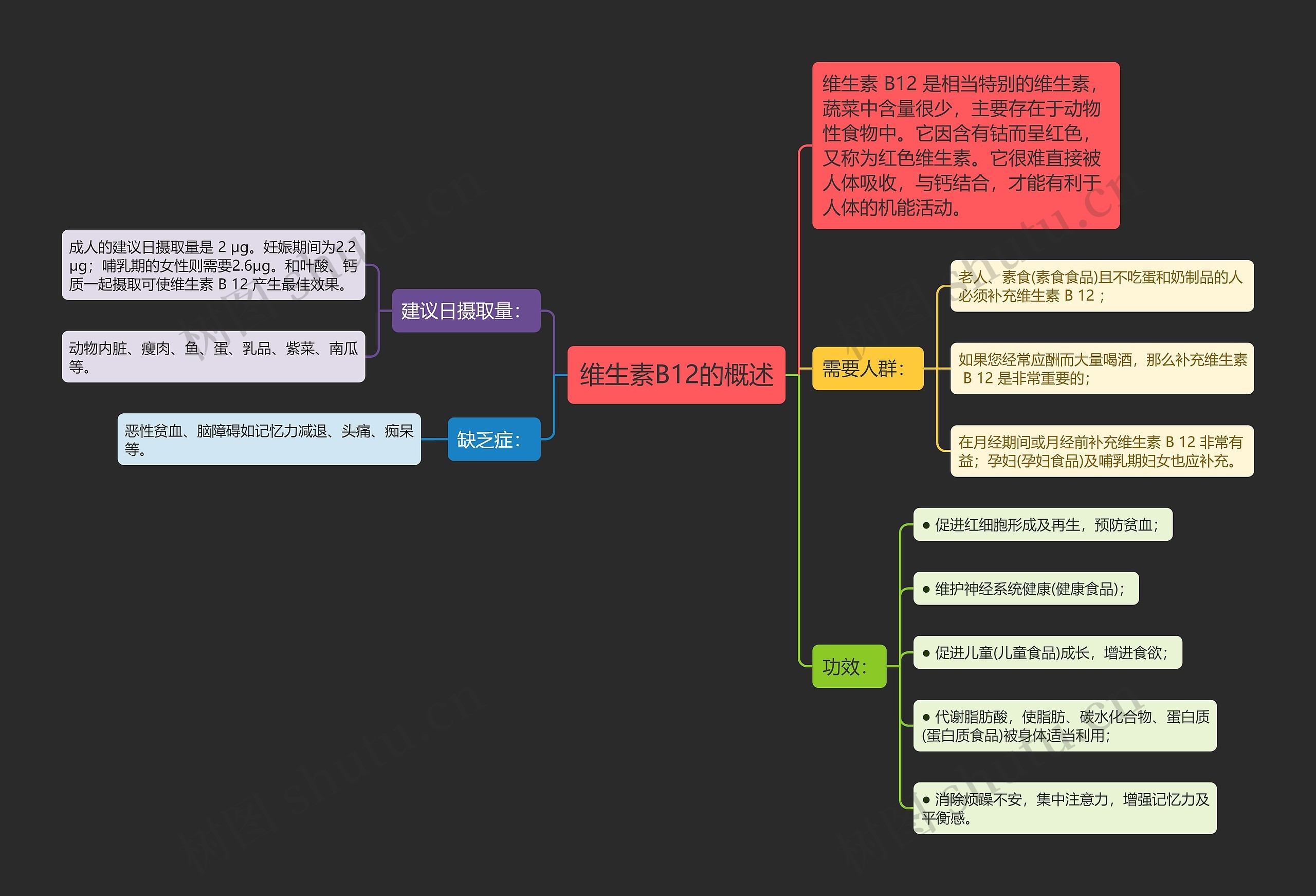 维生素B12的概述