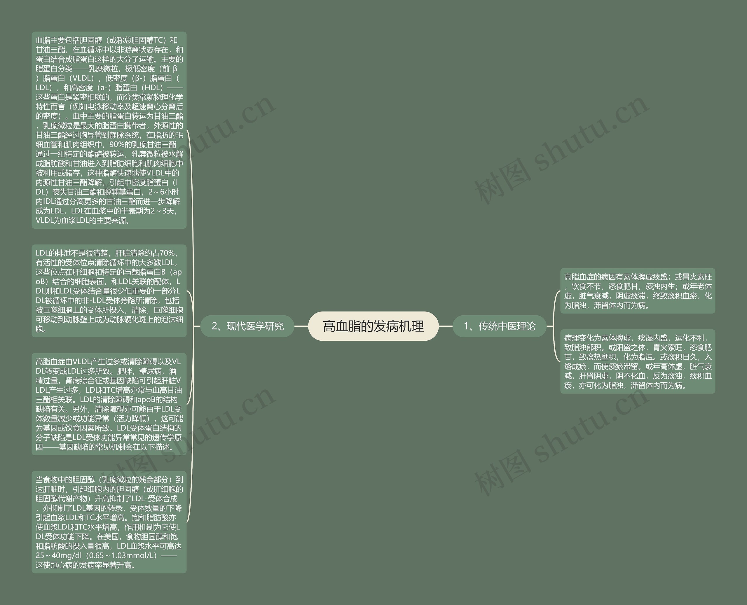 高血脂的发病机理思维导图