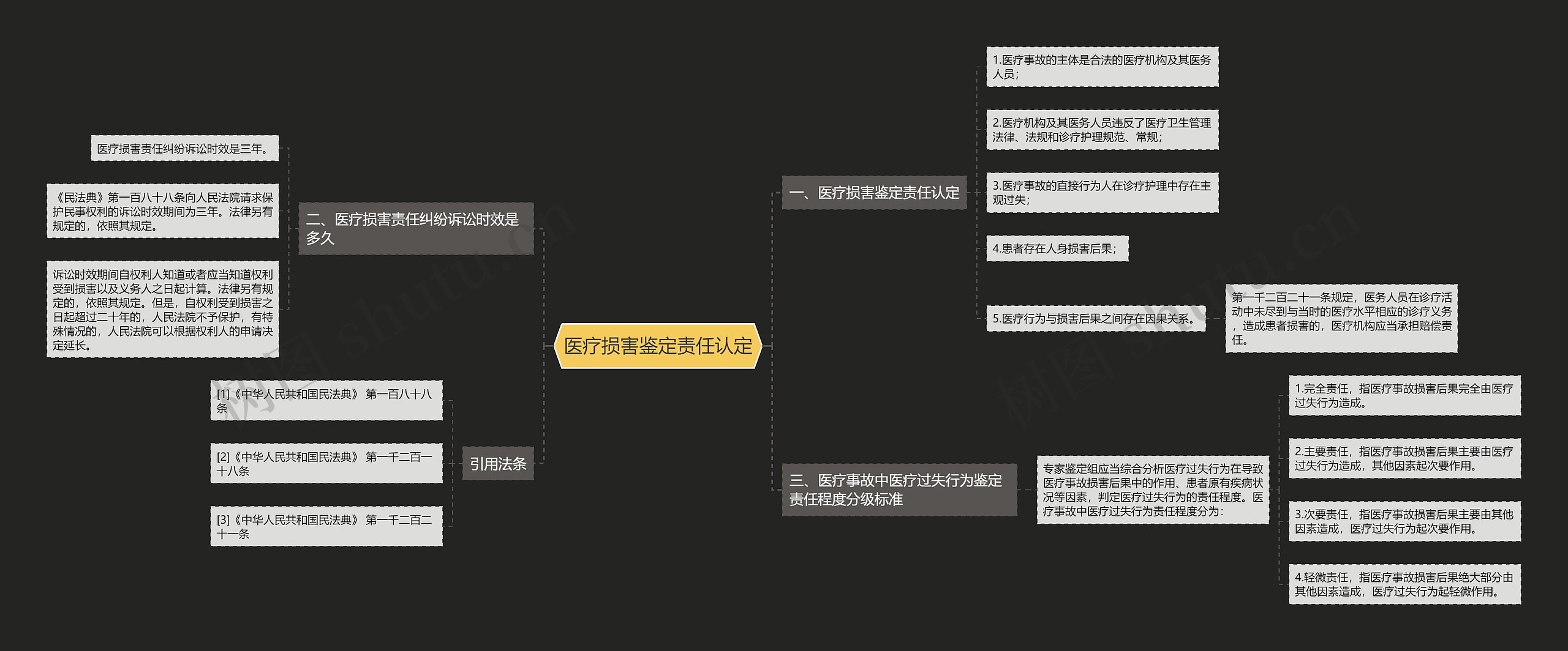 医疗损害鉴定责任认定思维导图