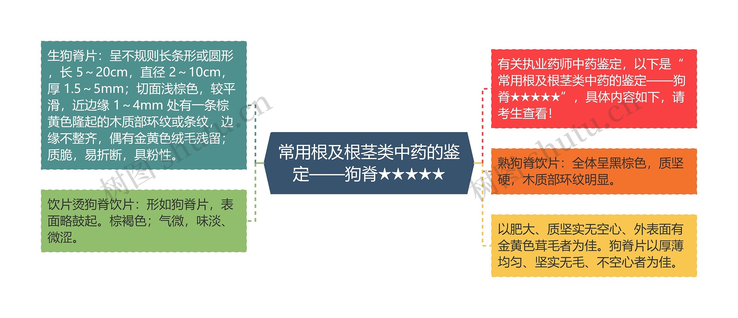 常用根及根茎类中药的鉴定——狗脊★★★★★思维导图