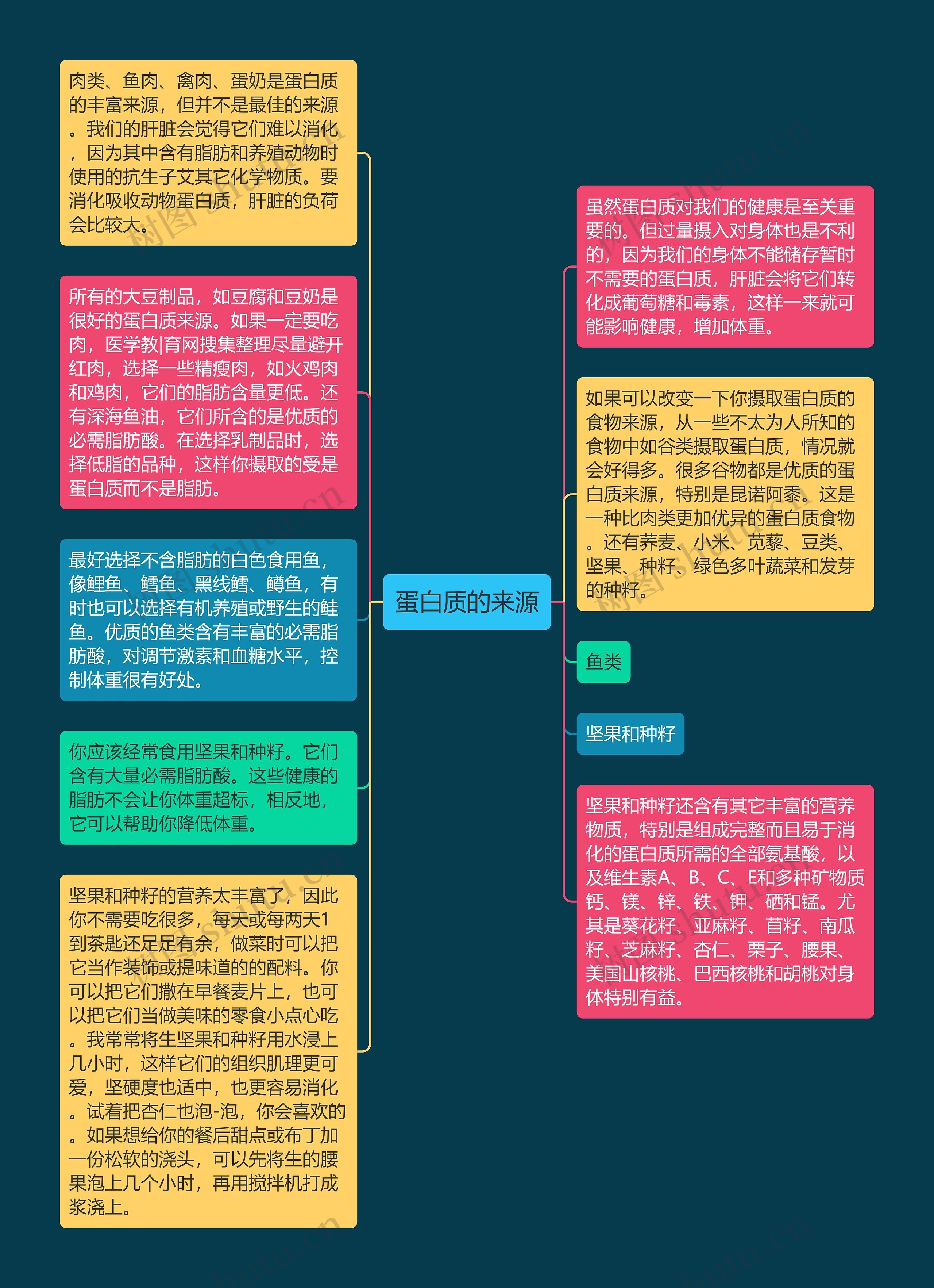 蛋白质的来源思维导图