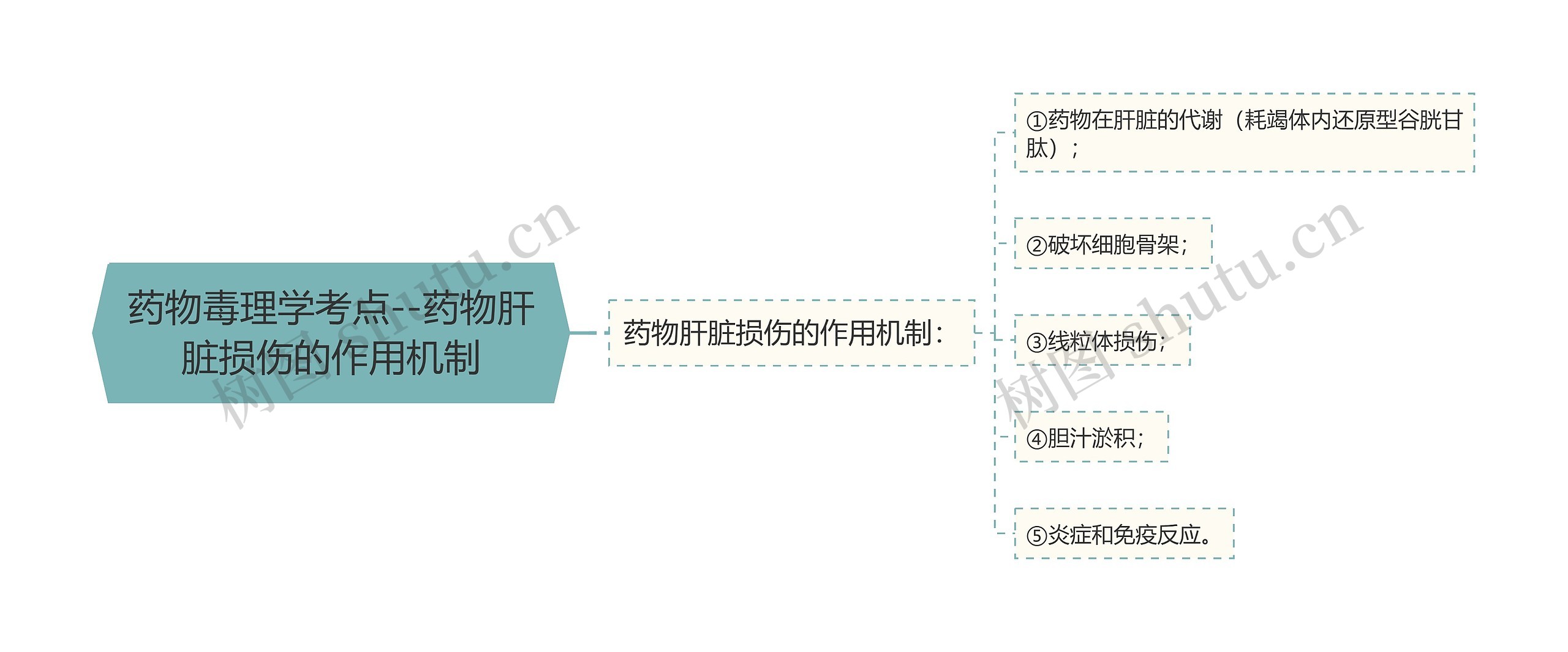 药物毒理学考点--药物肝脏损伤的作用机制思维导图