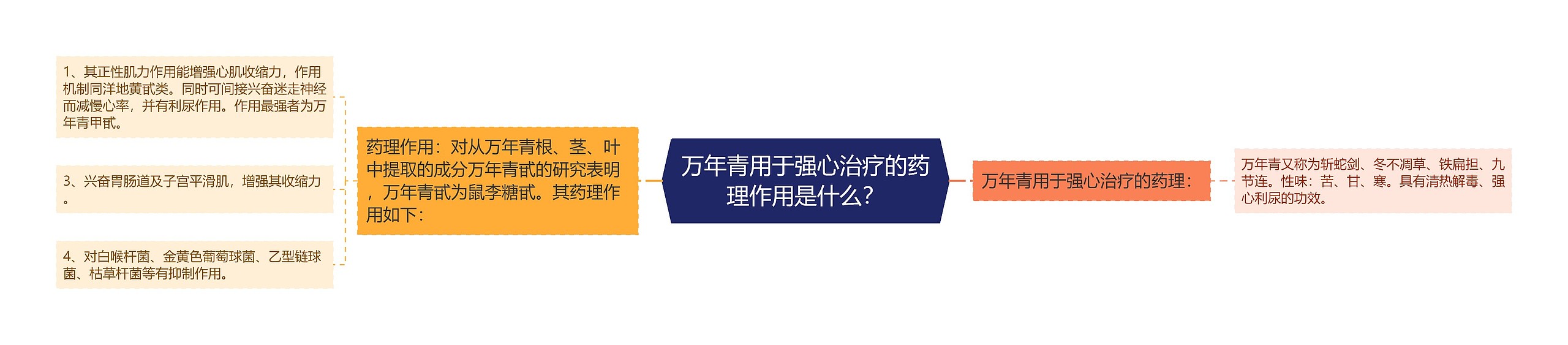 万年青用于强心治疗的药理作用是什么？