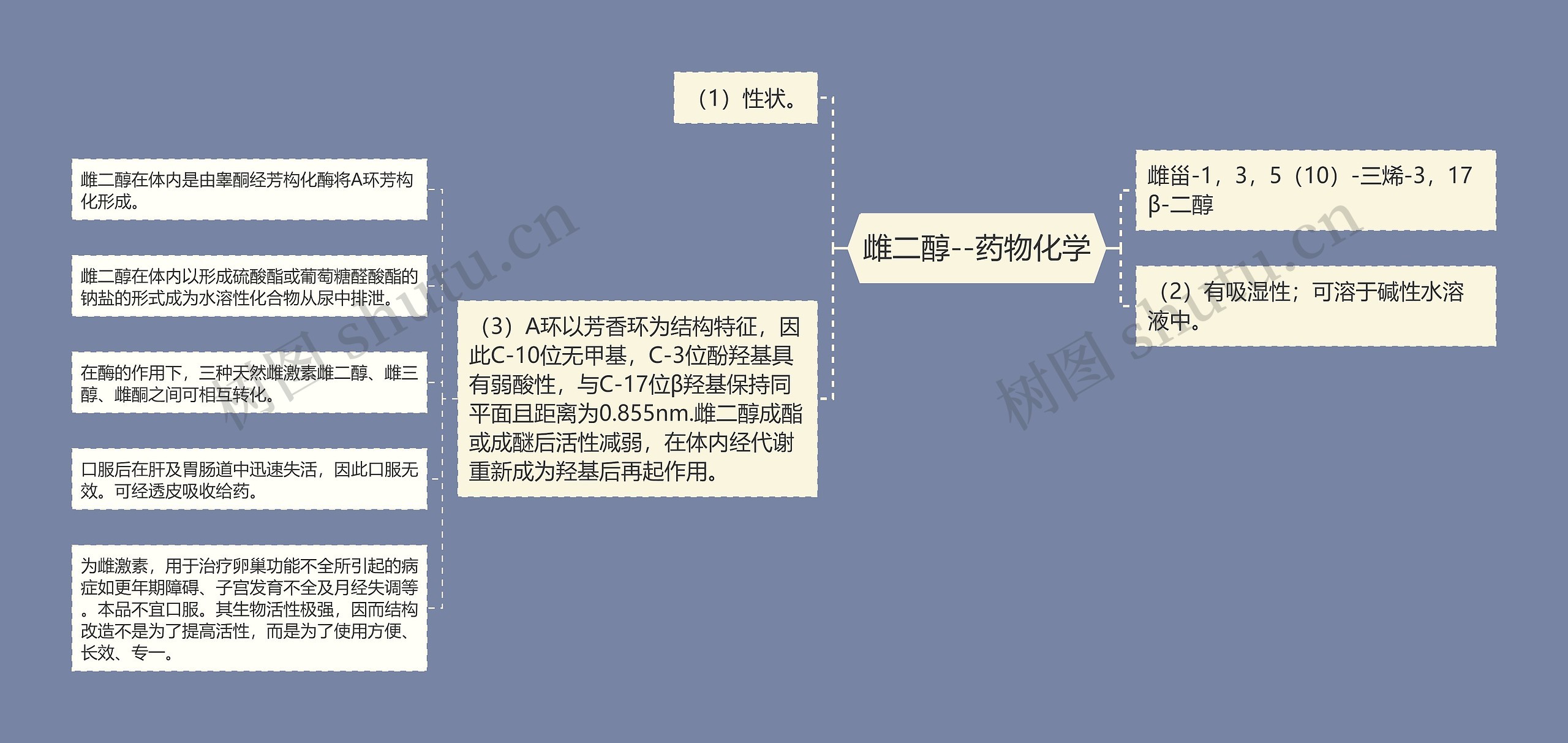 雌二醇--药物化学思维导图