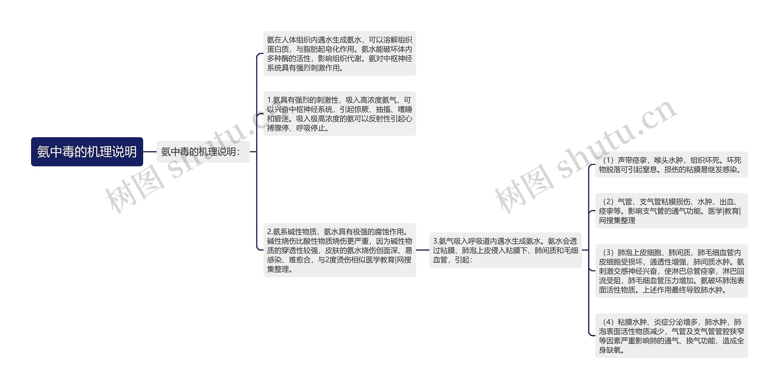 氨中毒的机理说明