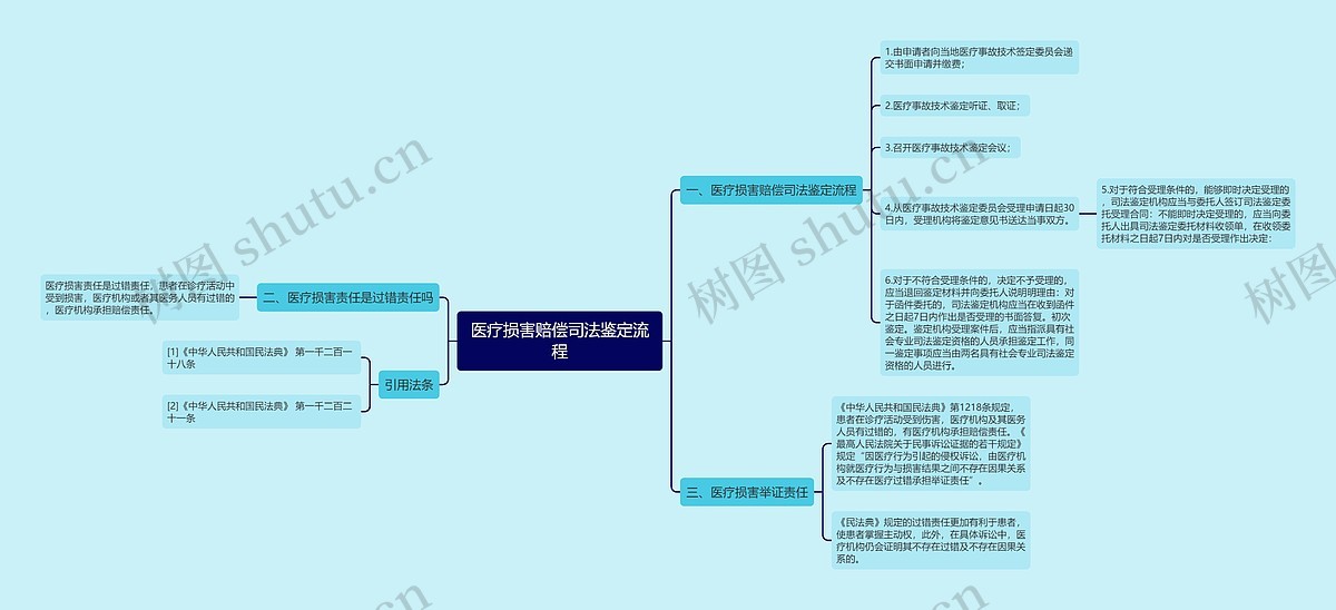 医疗损害赔偿司法鉴定流程思维导图_编号p7271101-TreeMind树图