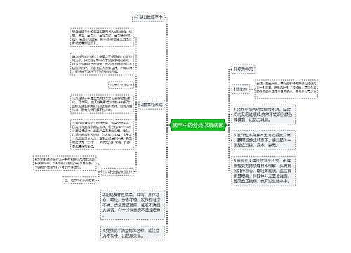 脑卒中的分类以及病因