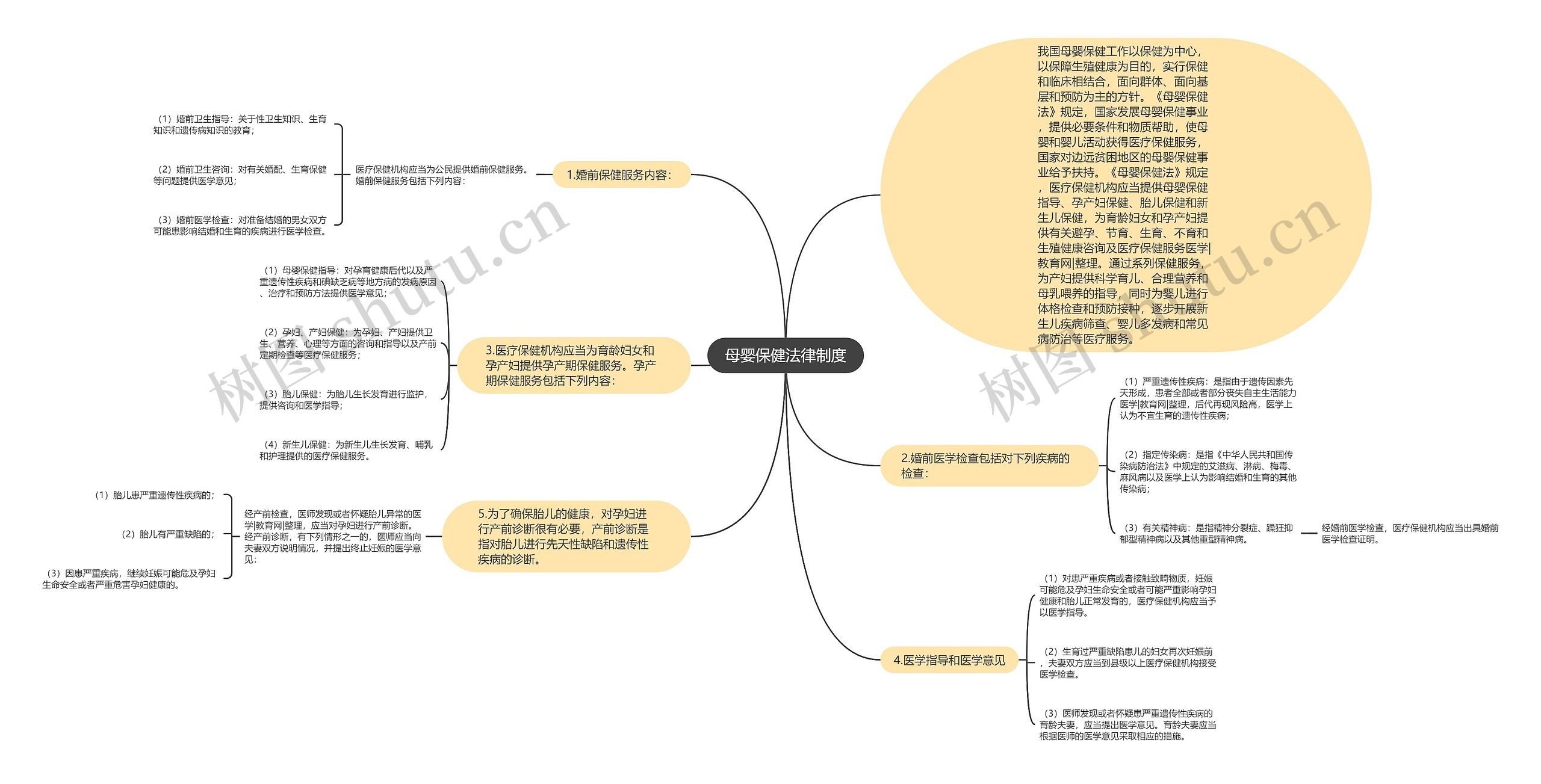 母婴保健法律制度思维导图