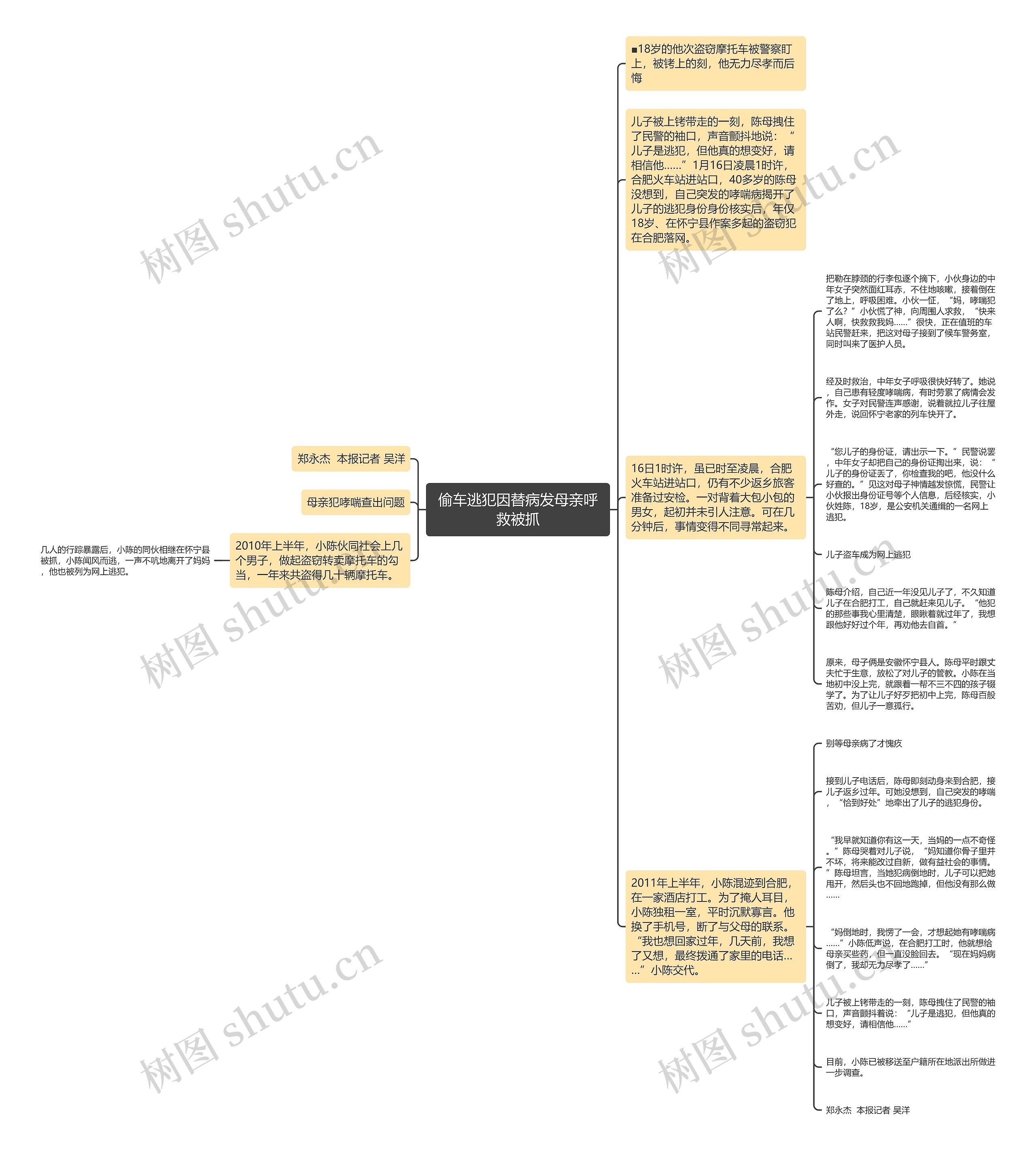 偷车逃犯因替病发母亲呼救被抓思维导图