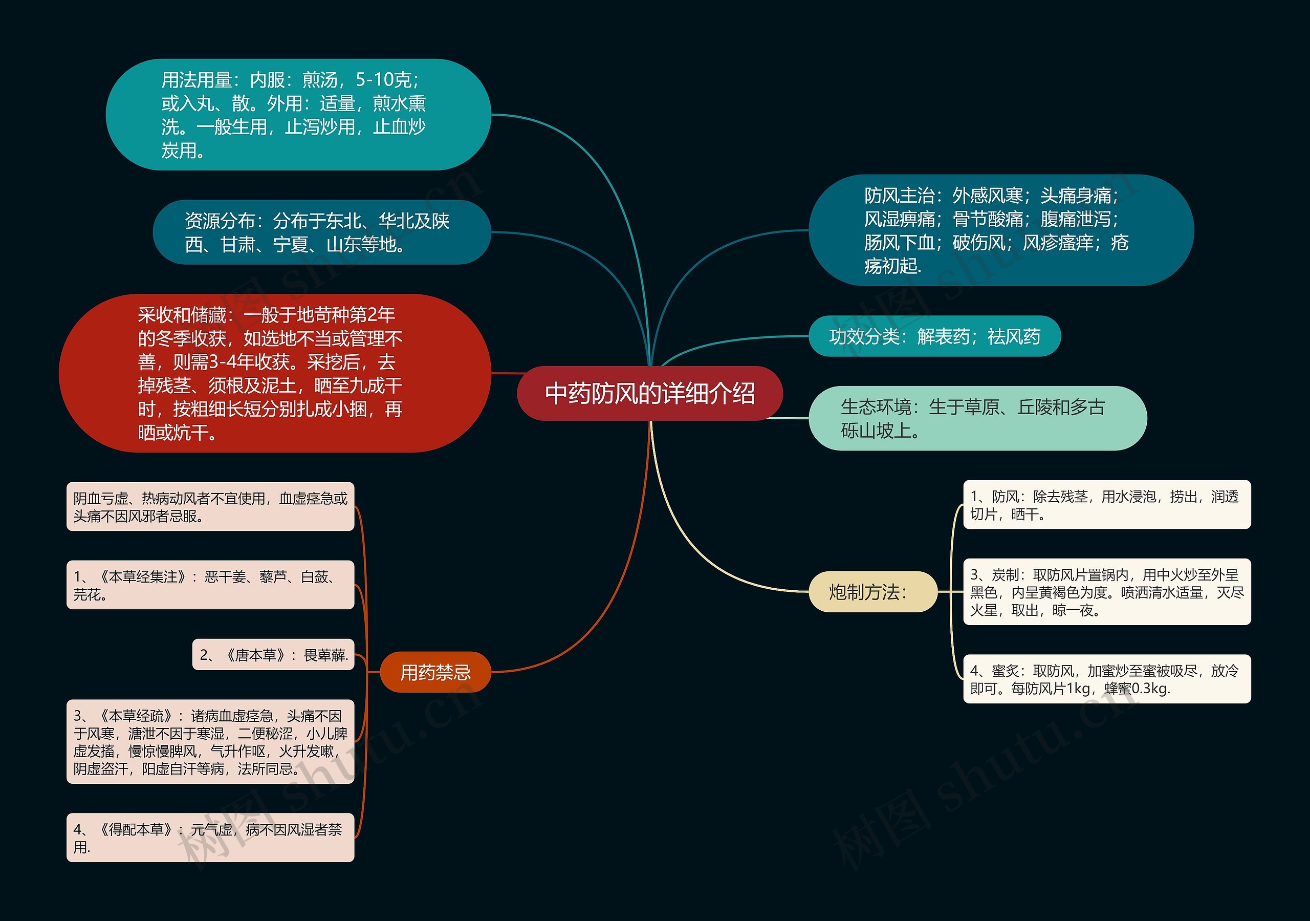 中药防风的详细介绍思维导图