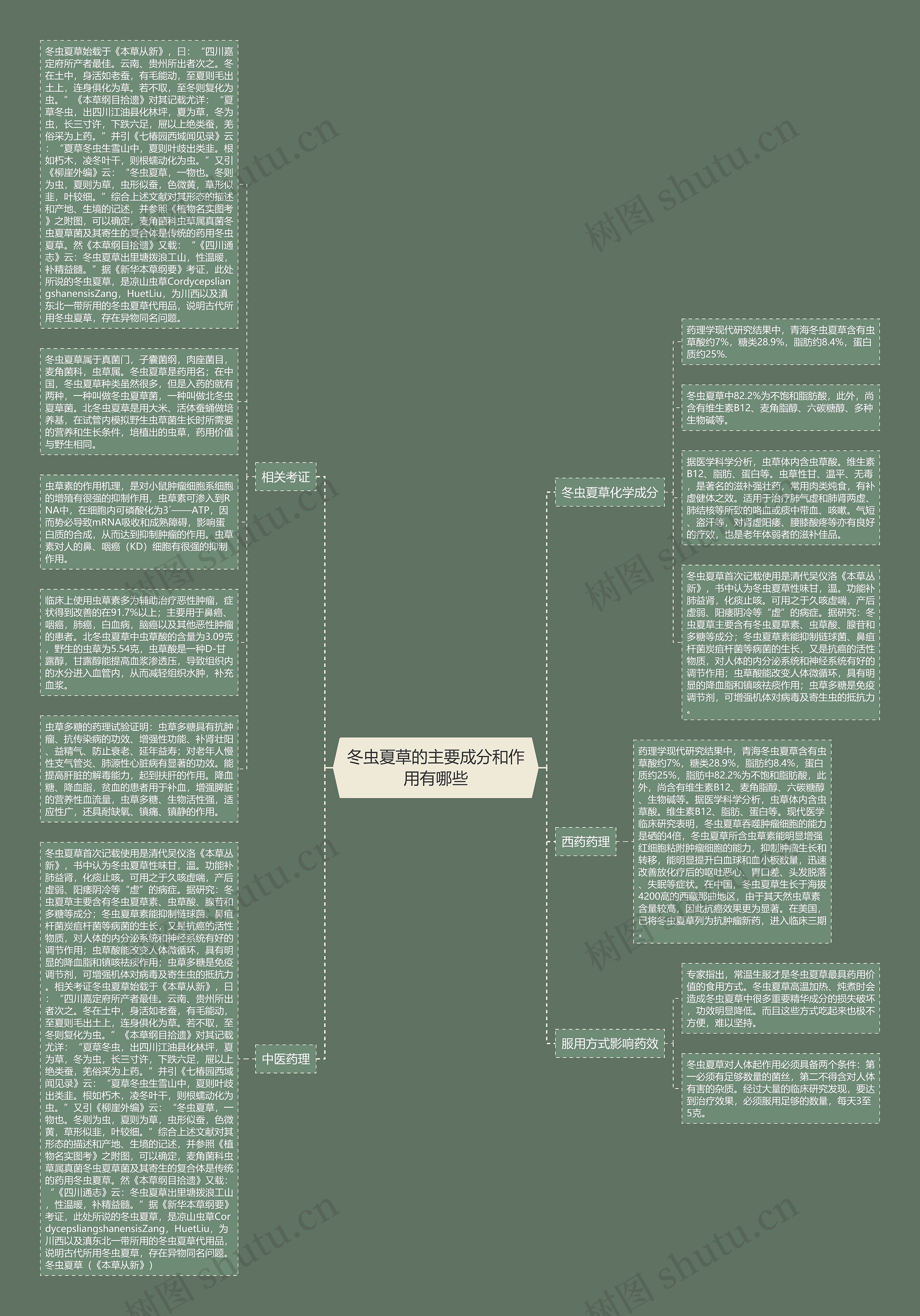 冬虫夏草的主要成分和作用有哪些思维导图