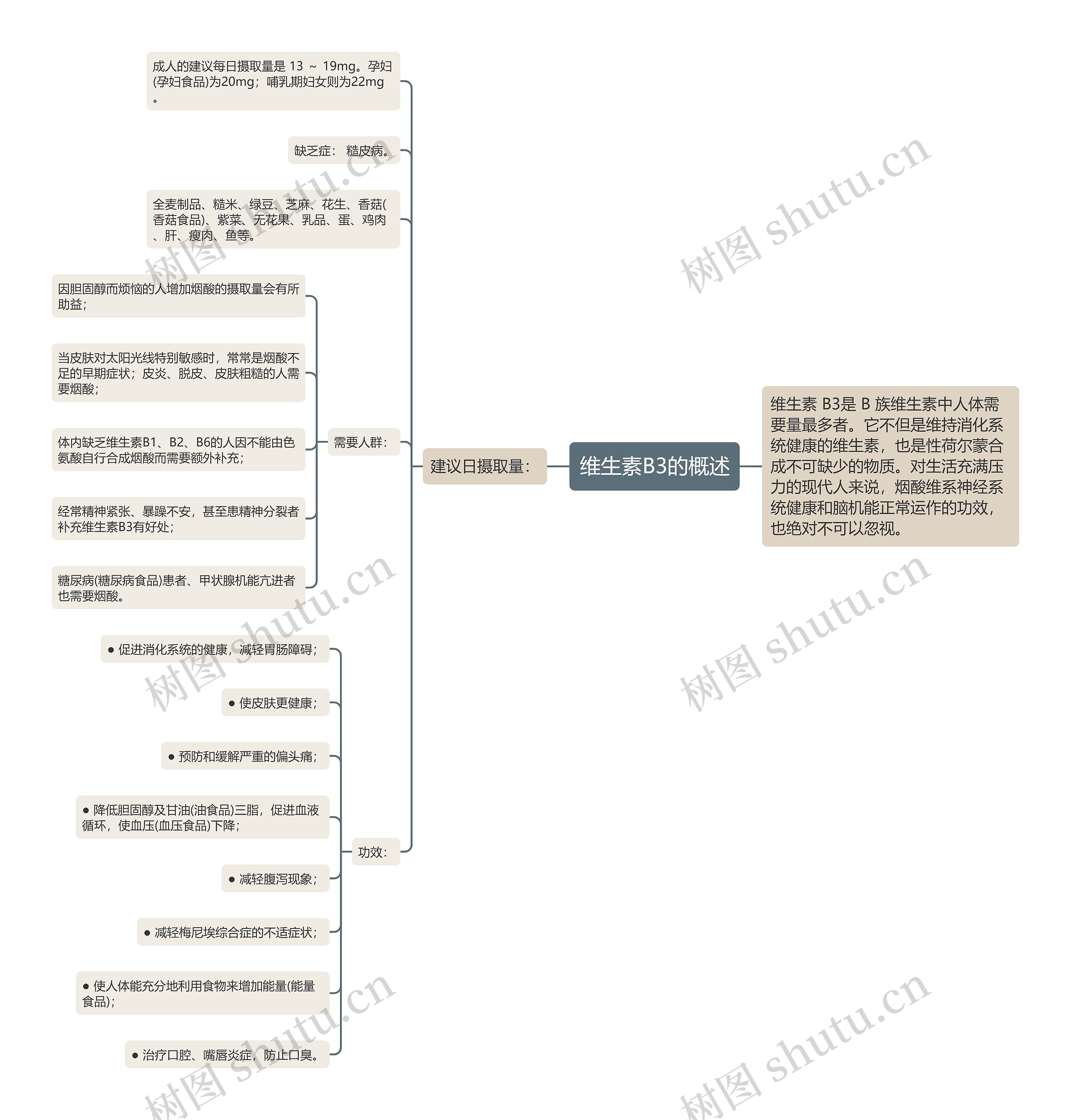 维生素B3的概述 维生素B3的概述