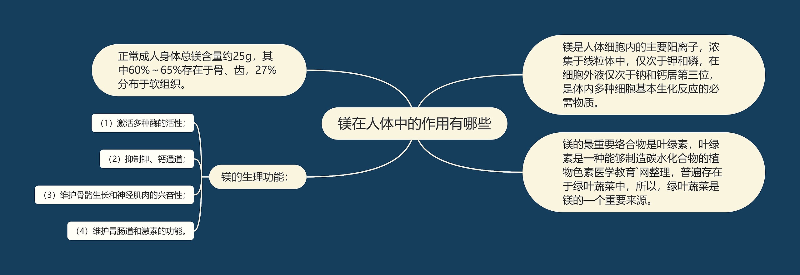 镁在人体中的作用有哪些思维导图