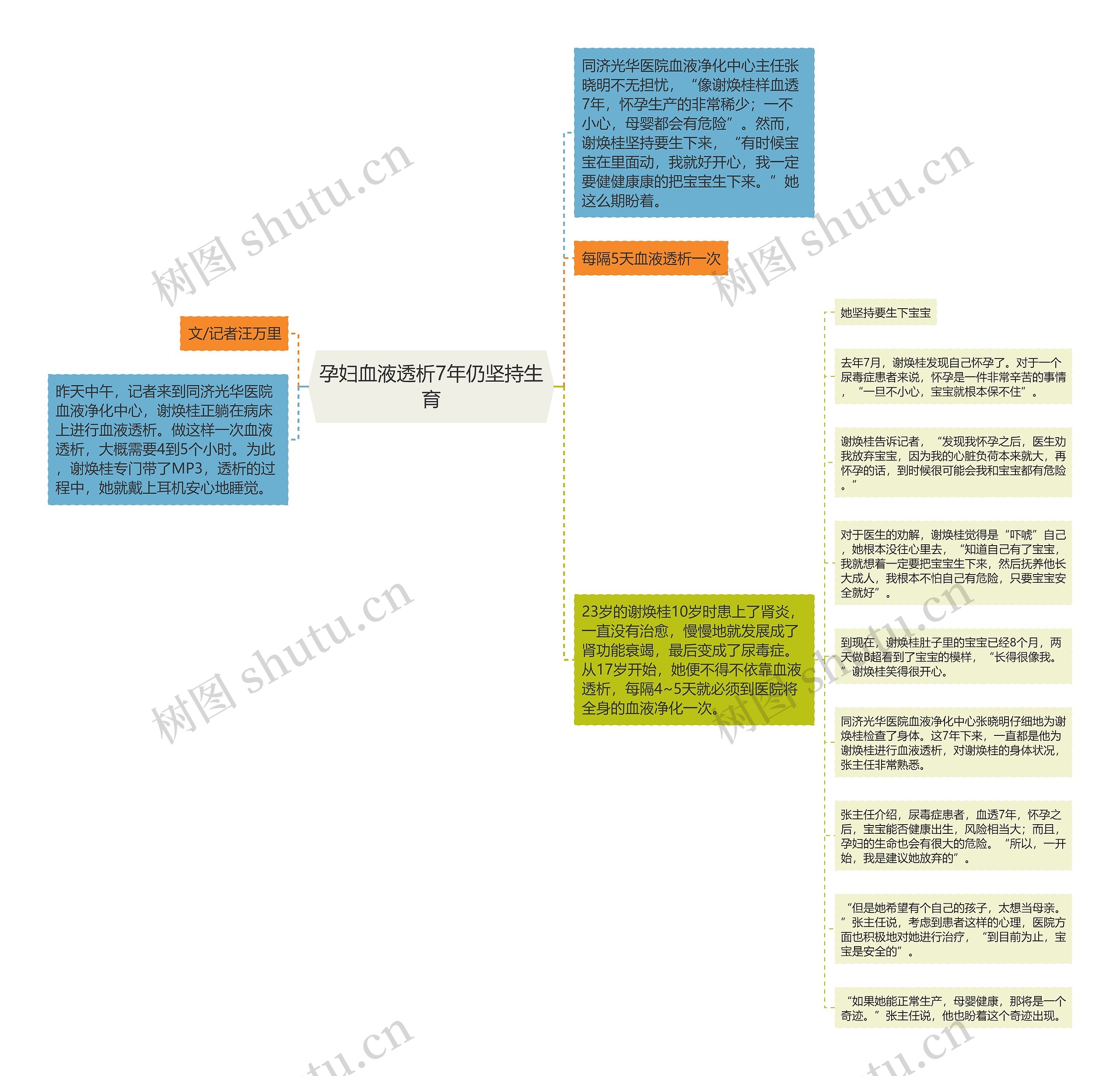 孕妇血液透析7年仍坚持生育思维导图