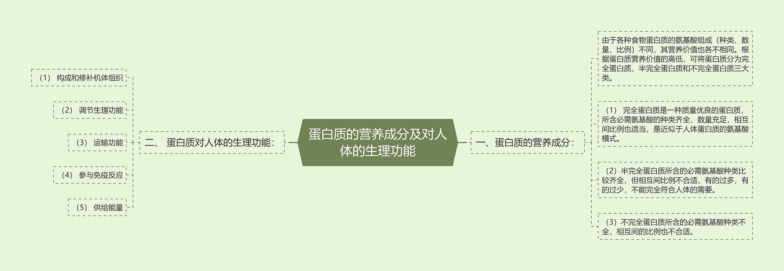 蛋白质的营养成分及对人体的生理功能思维导图