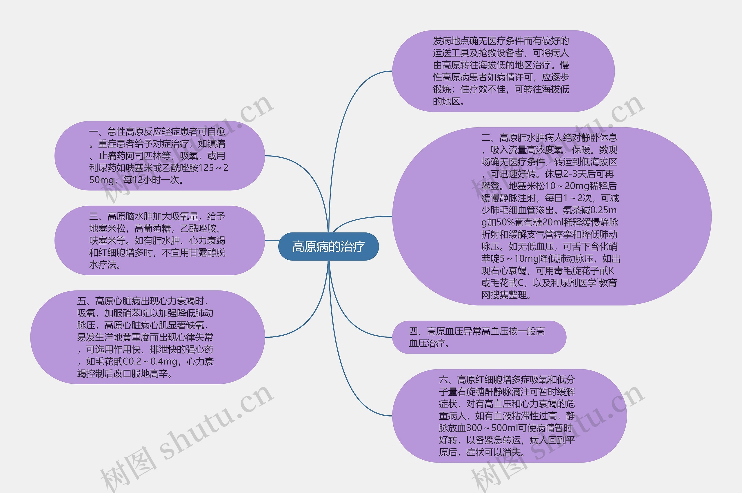 高原病的治疗思维导图