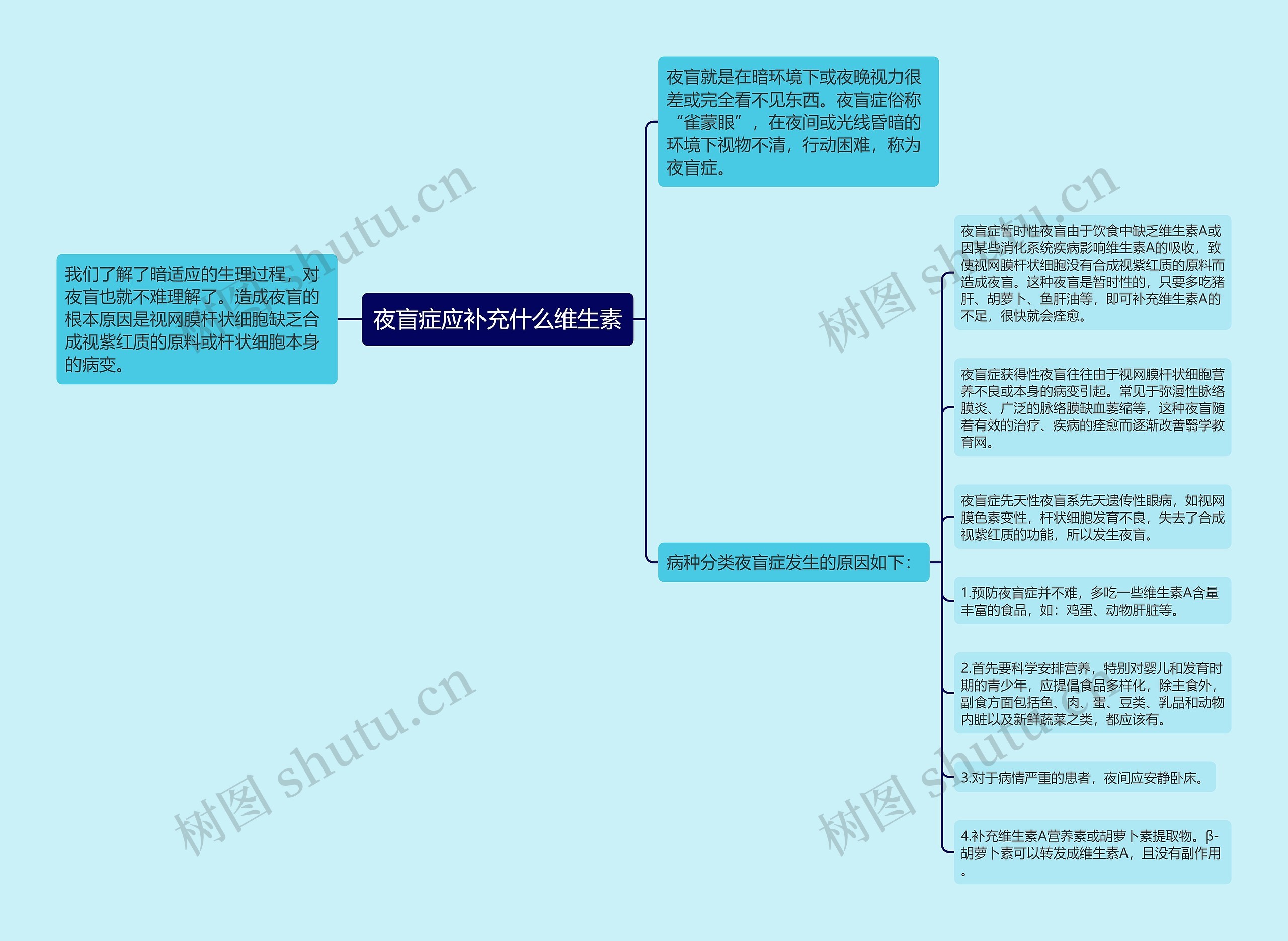 夜盲症应补充什么维生素思维导图