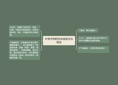 叶类中药的性状鉴定方法概述