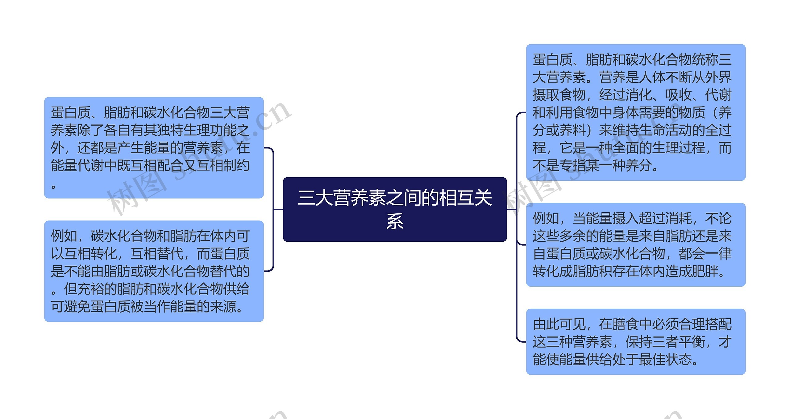 三大营养素之间的相互关系思维导图