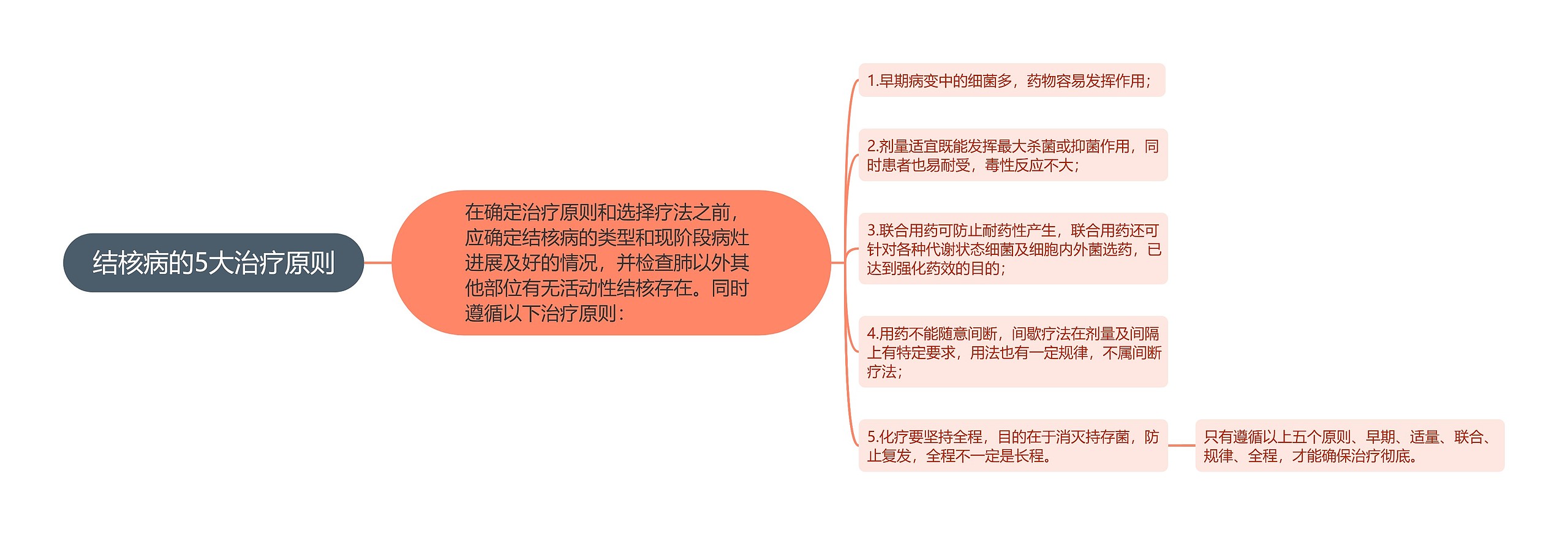 结核病的5大治疗原则思维导图