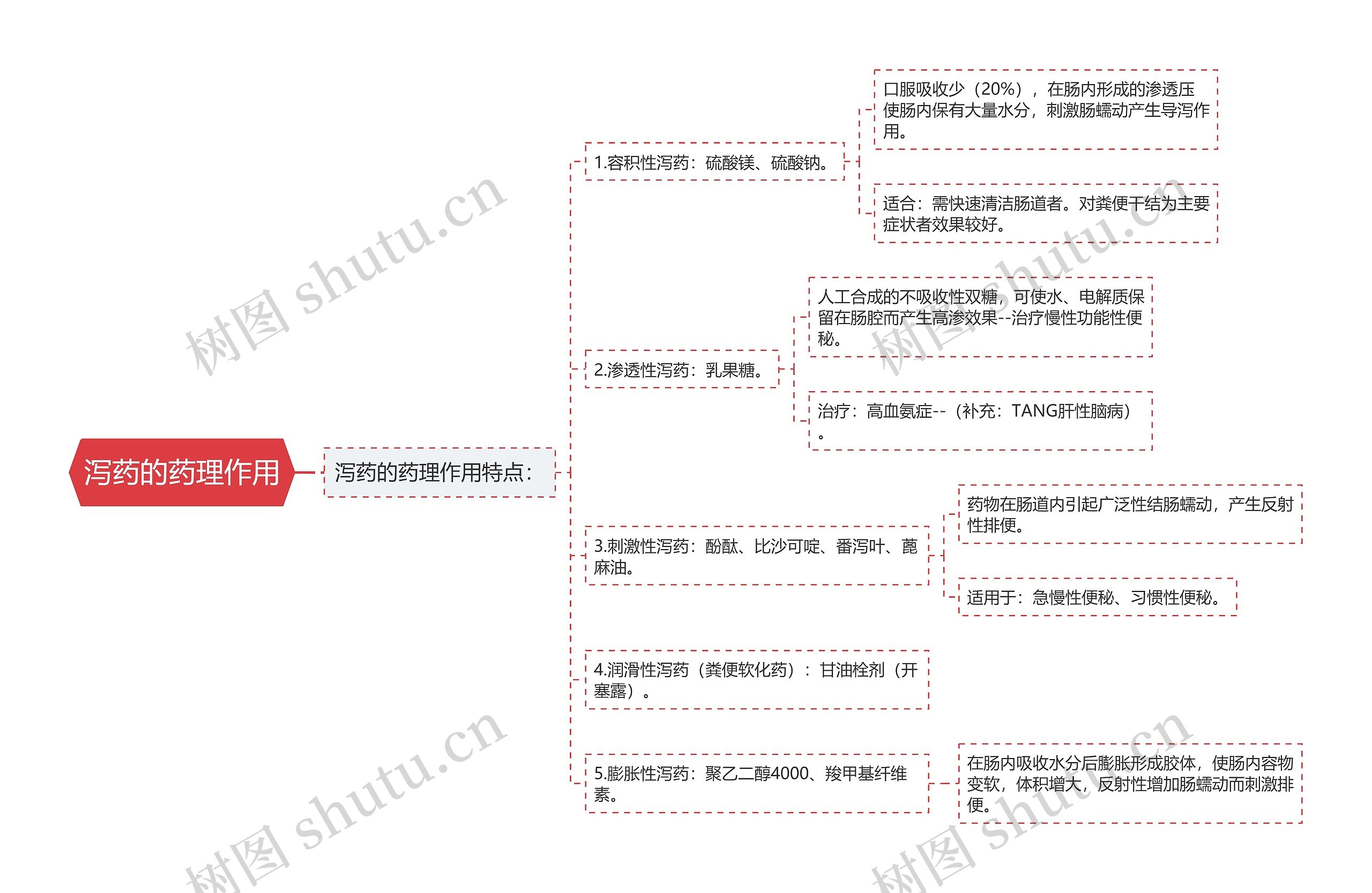 泻药的药理作用思维导图