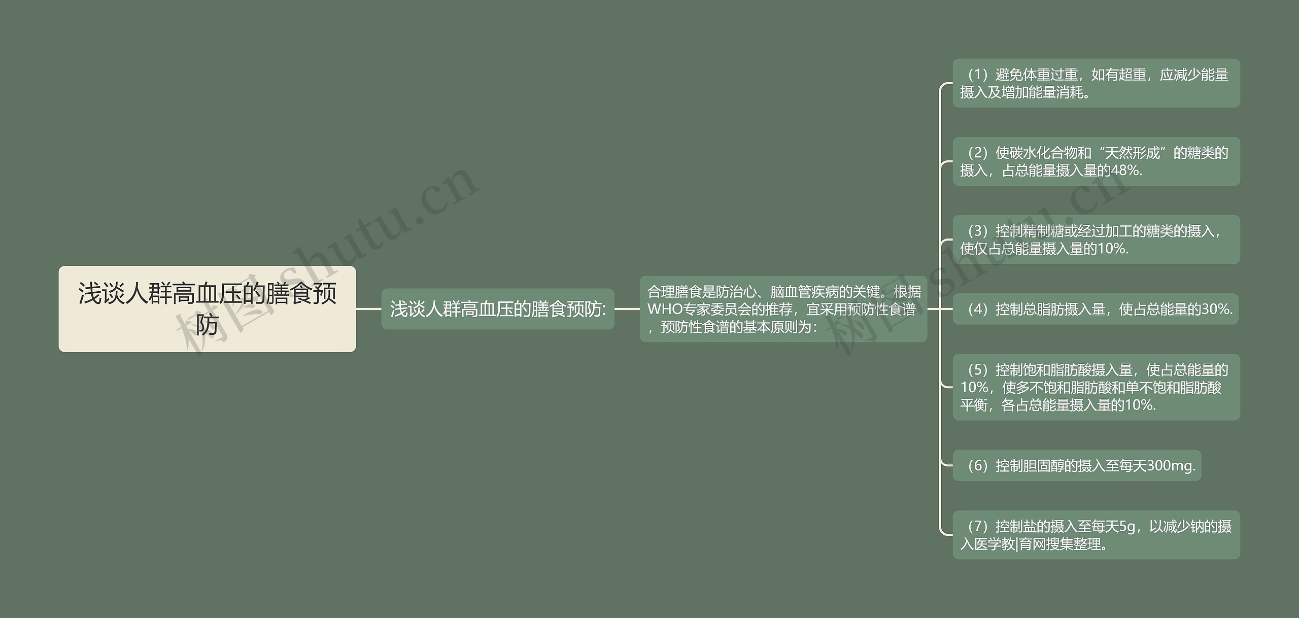 浅谈人群高血压的膳食预防思维导图