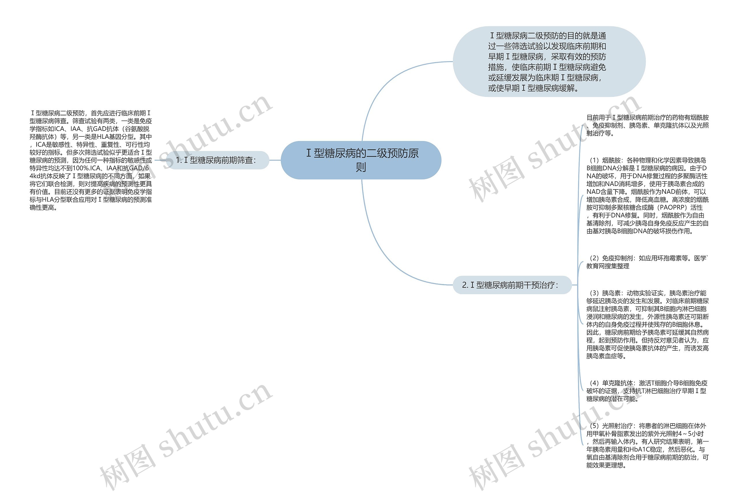 Ⅰ型糖尿病的二级预防原则思维导图高清图 Ⅰ型糖尿病的二级预防原则思维导图