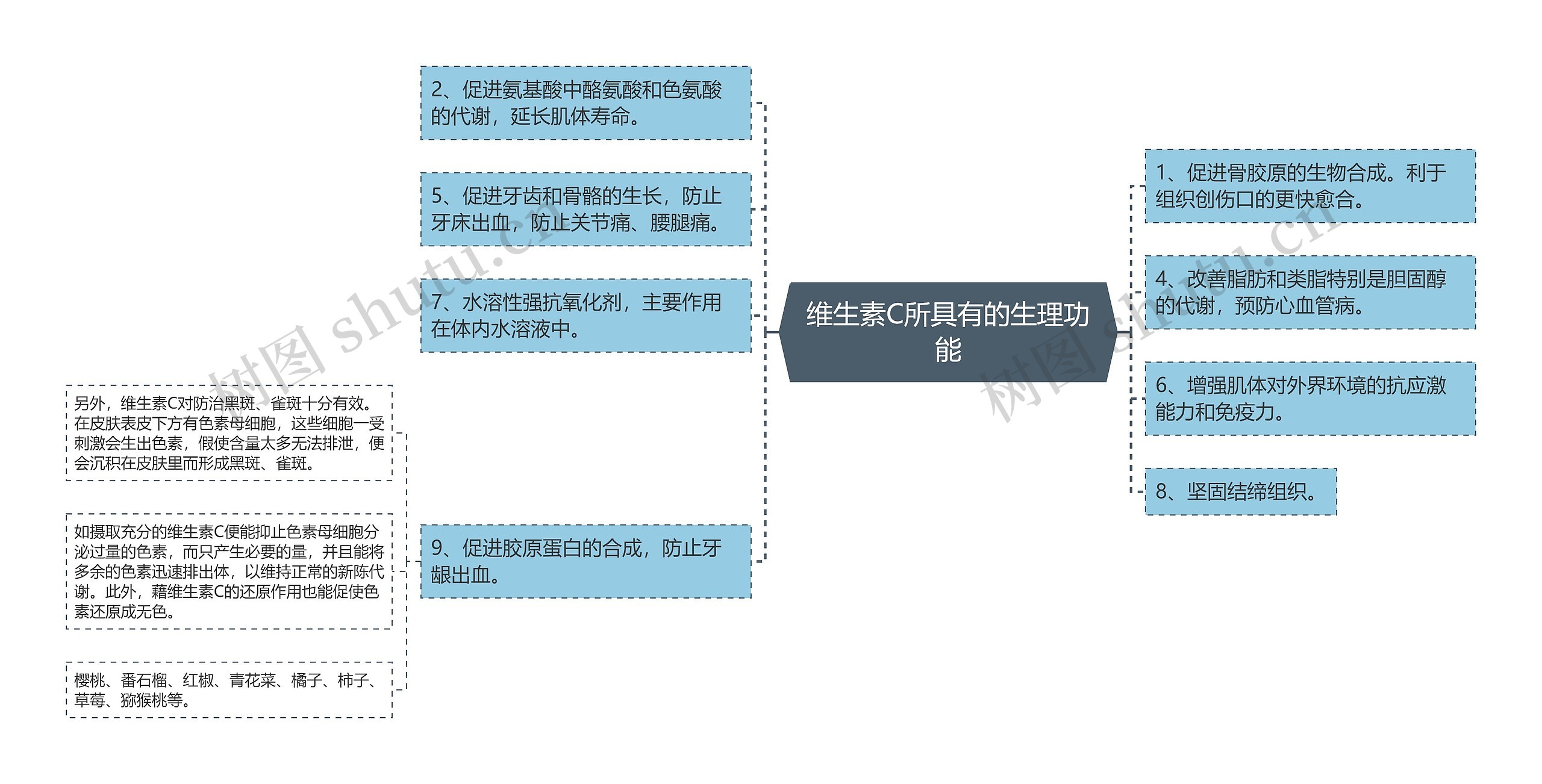 维生素C所具有的生理功能