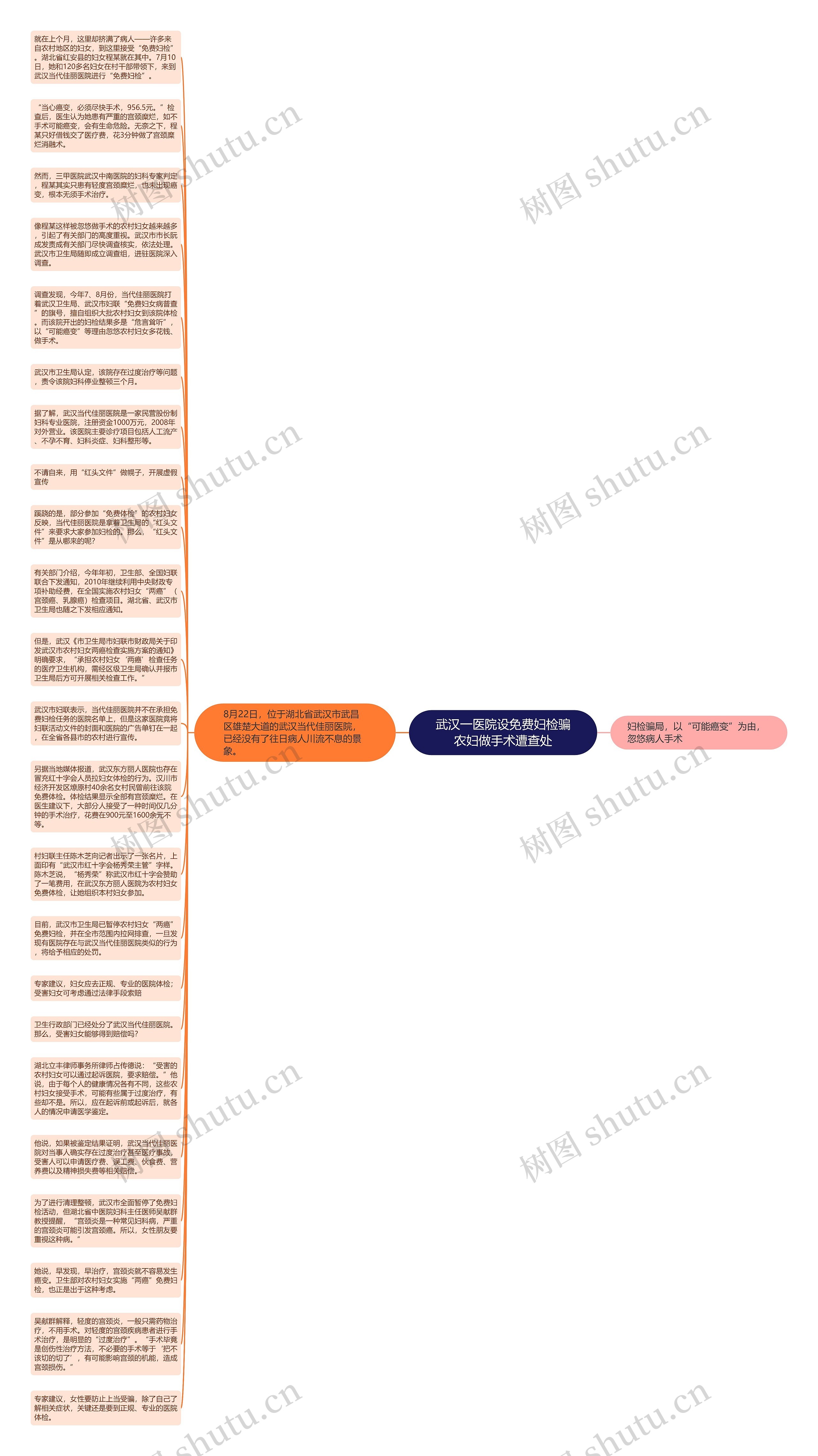 武汉一医院设免费妇检骗农妇做手术遭查处思维导图