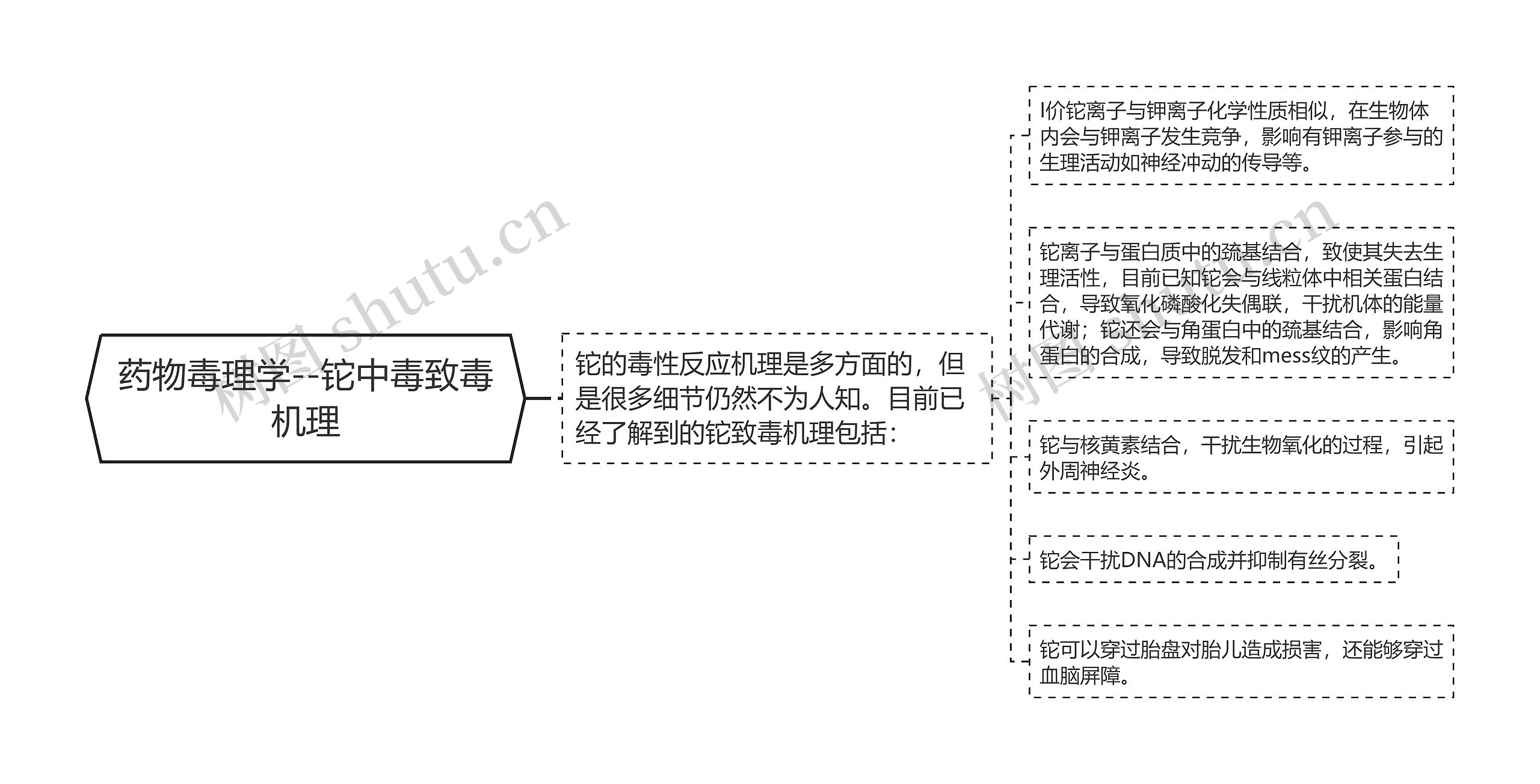 药物毒理学--铊中毒致毒机理思维导图