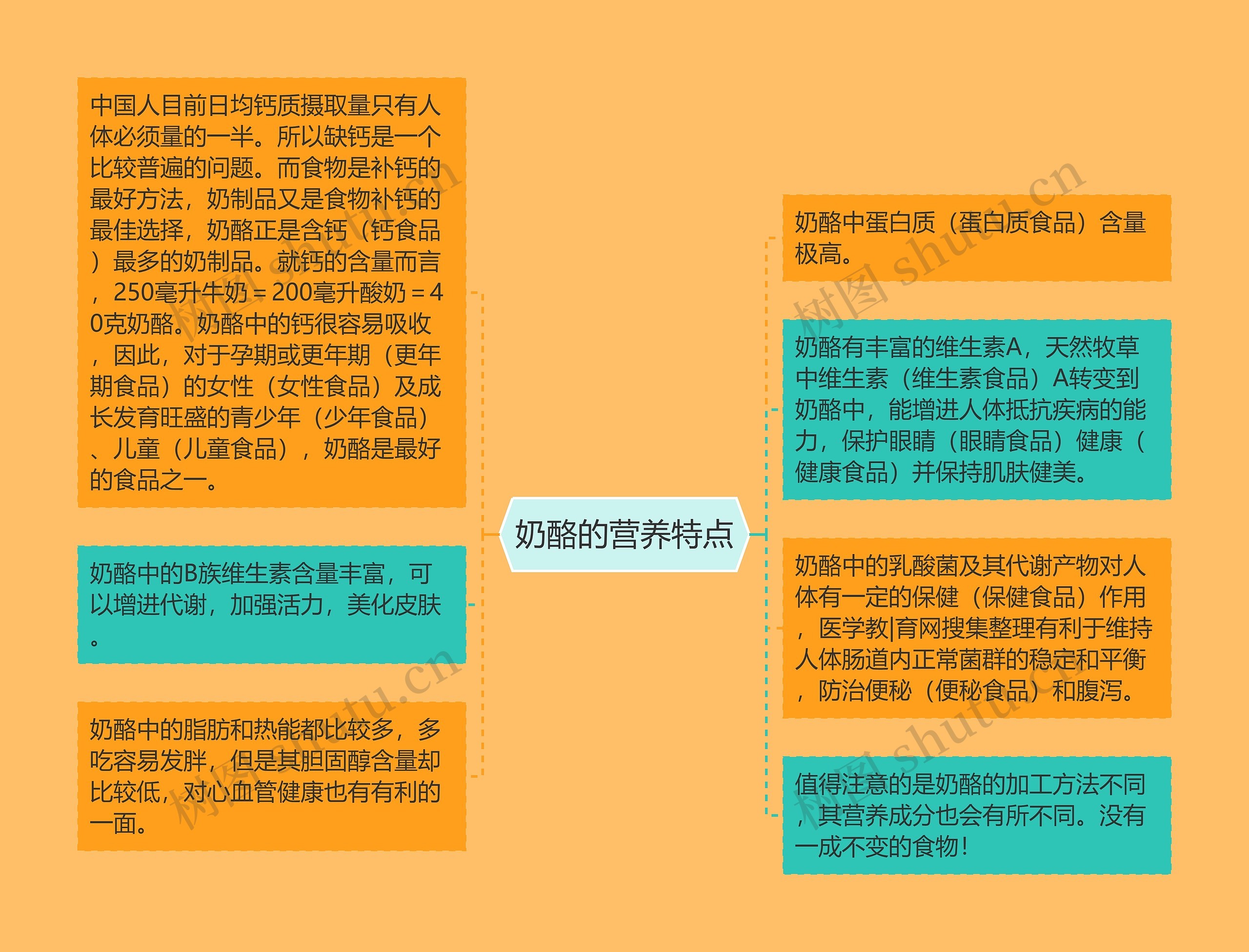 奶酪的营养特点 奶酪的营养特点