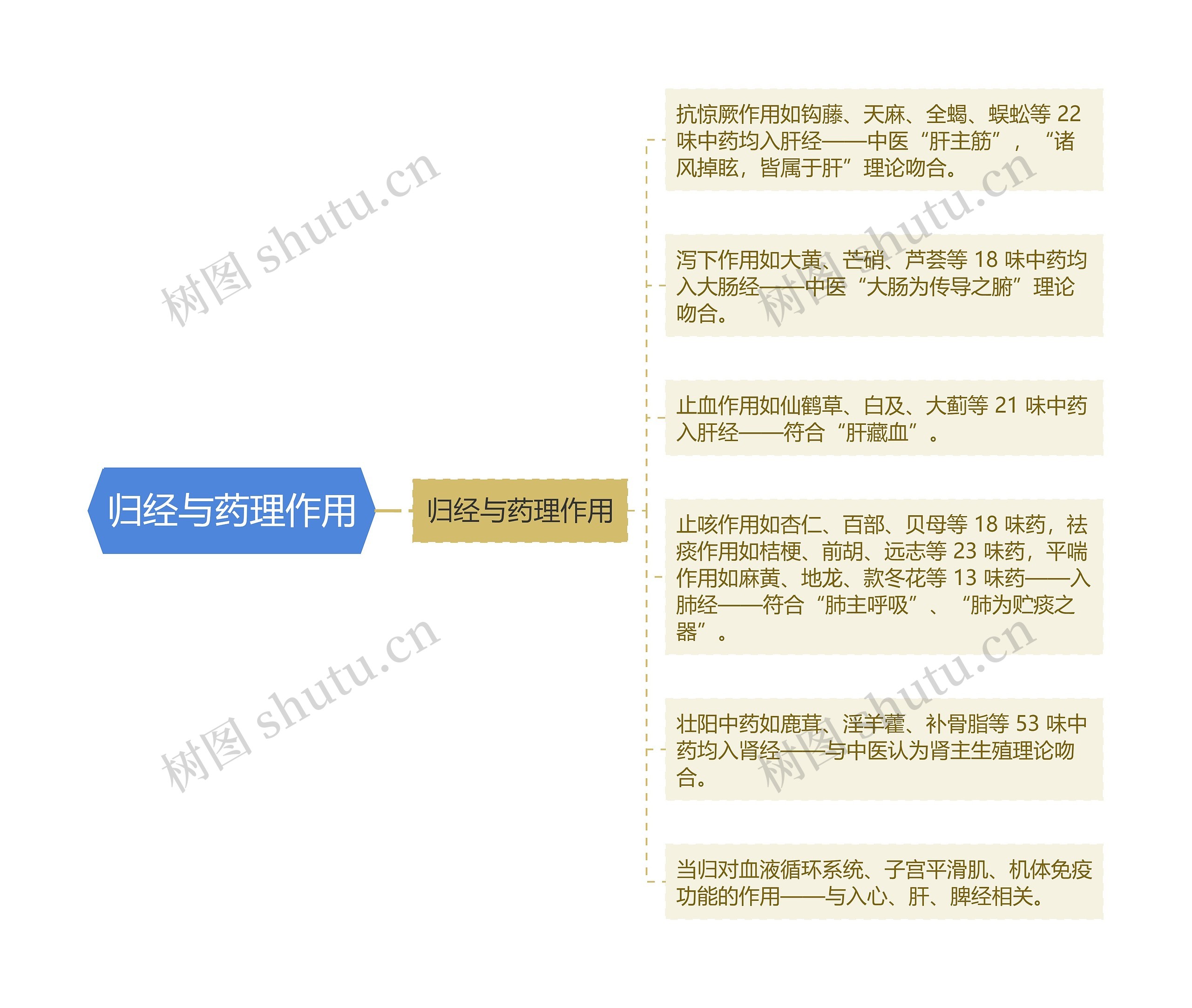 归经与药理作用思维导图