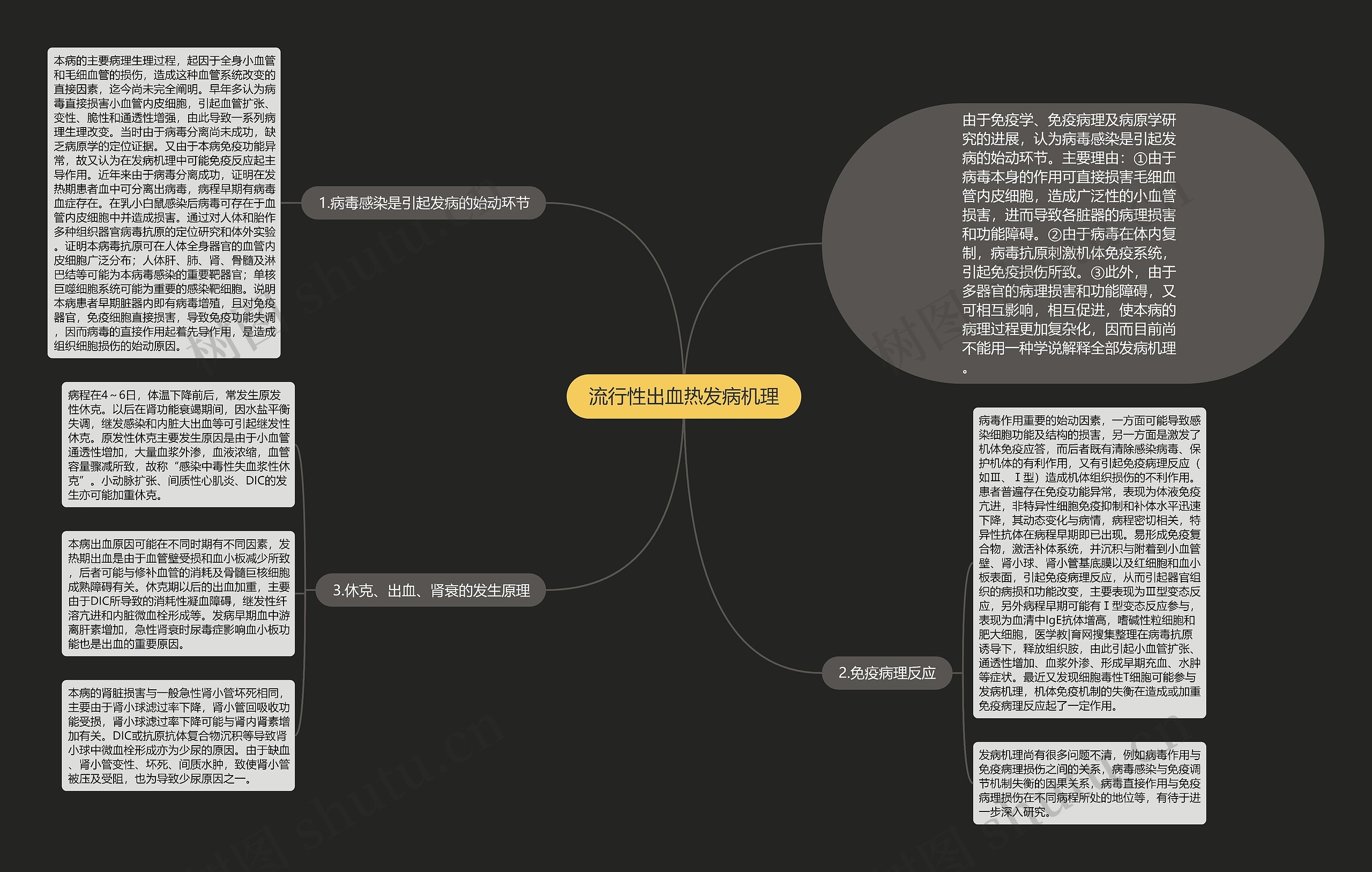 流行性出血热发病机理思维导图