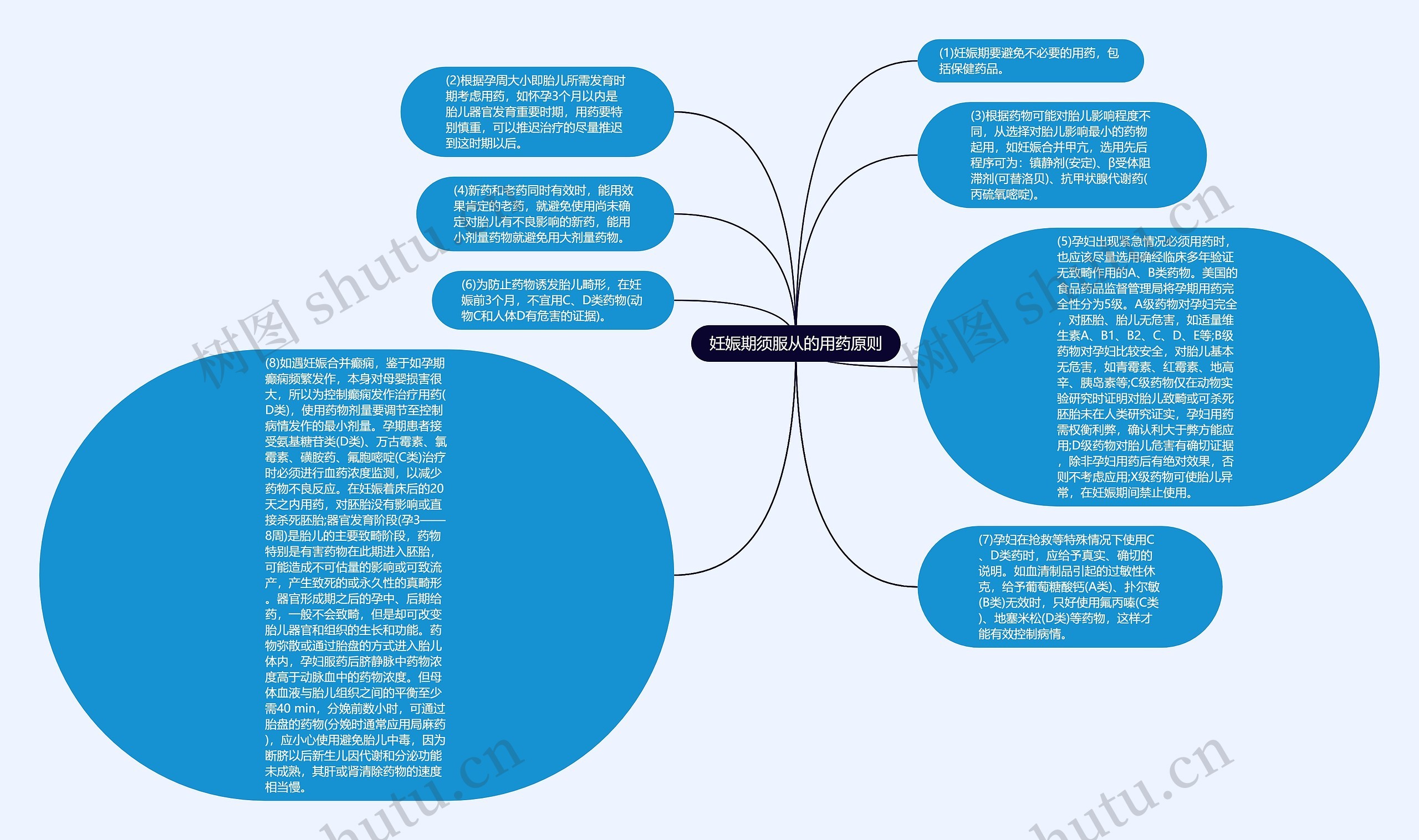 妊娠期须服从的用药原则思维导图