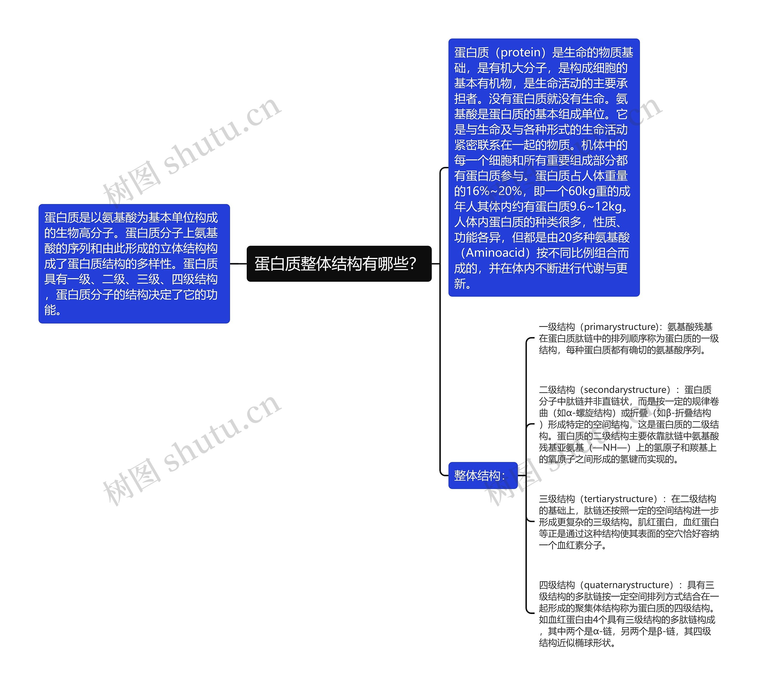 蛋白质整体结构有哪些？思维导图