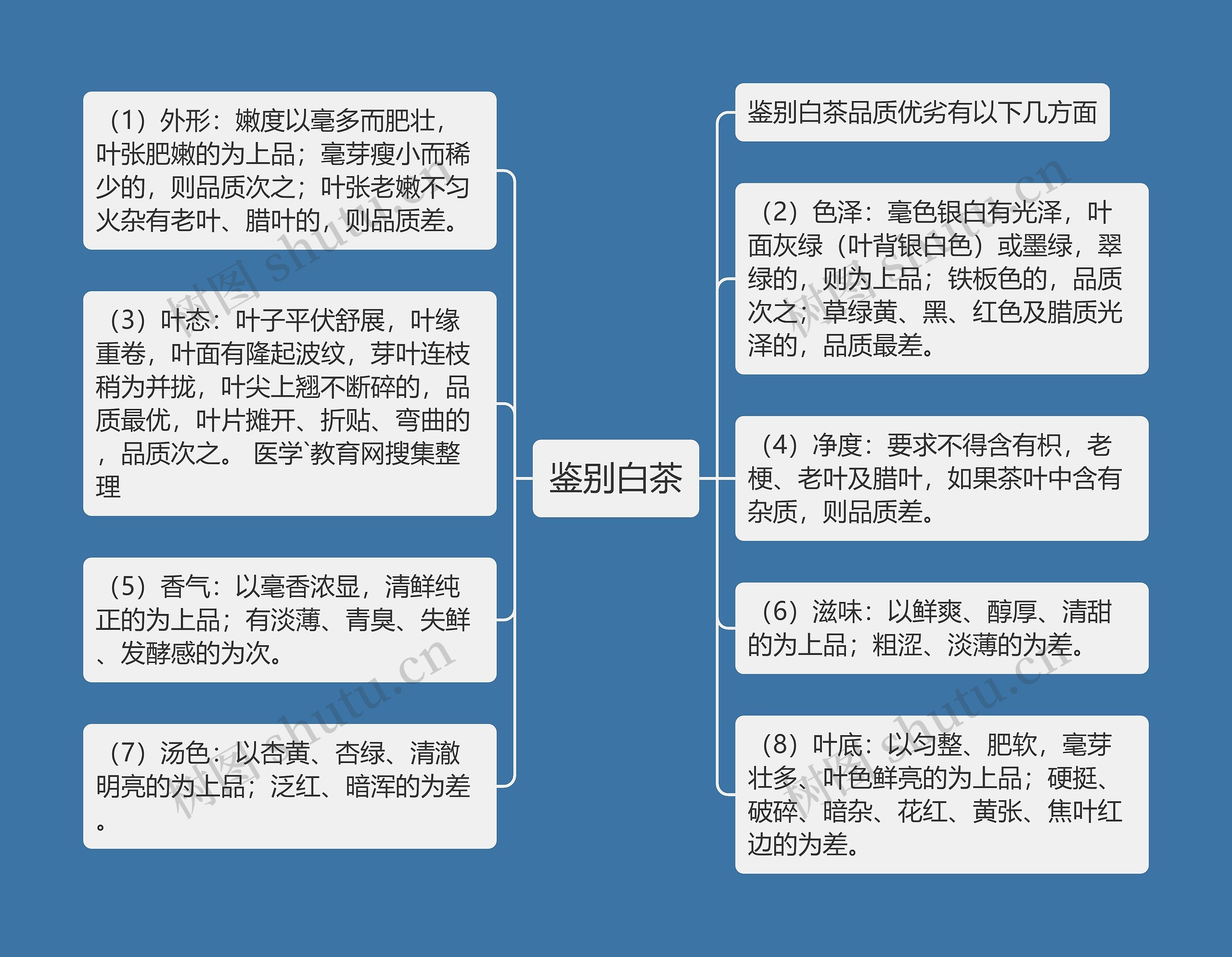 鉴别白茶思维导图