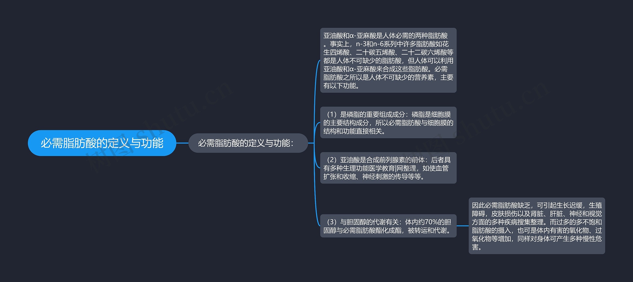 必需脂肪酸的定义与功能思维导图