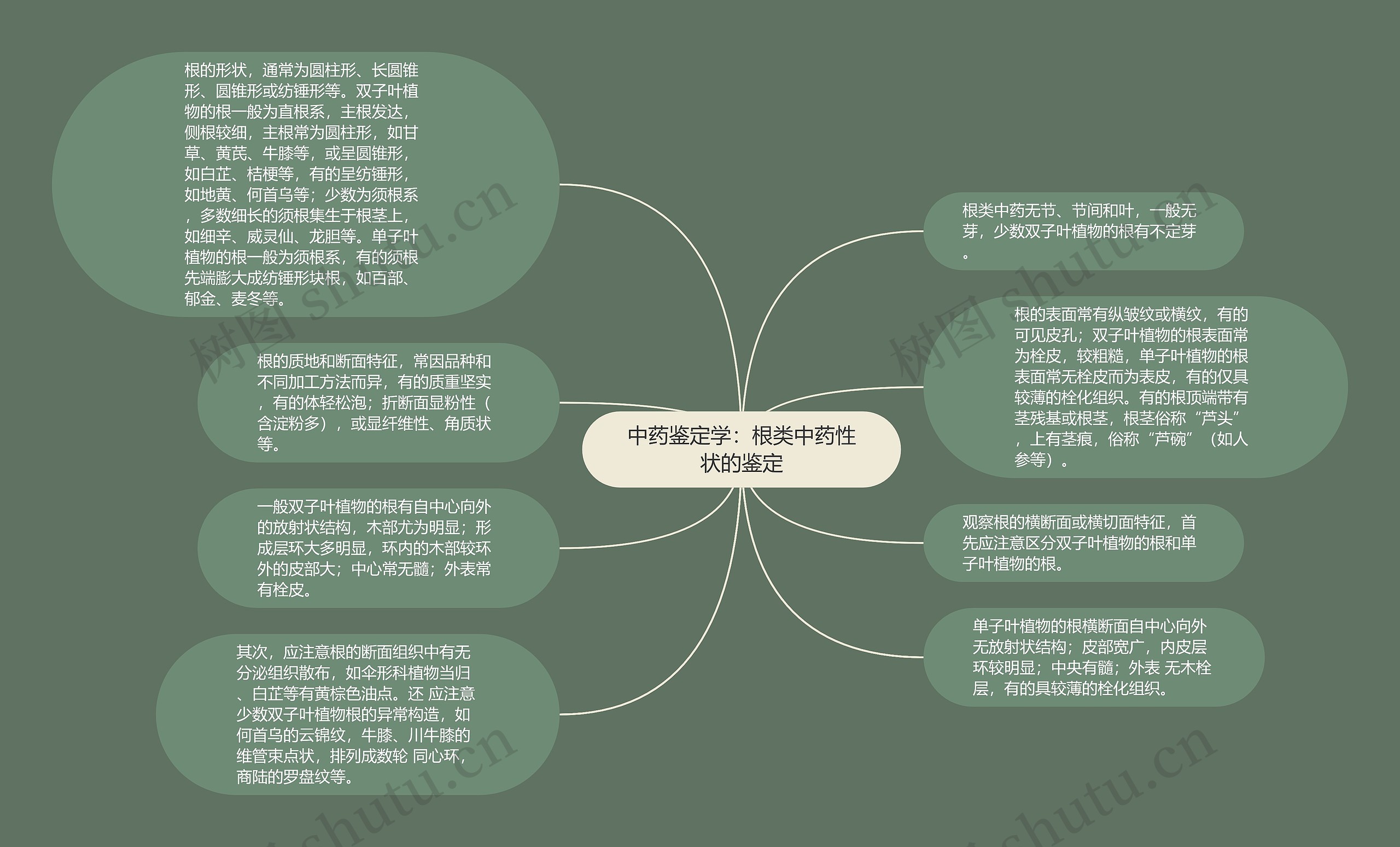 中药鉴定学：根类中药性状的鉴定思维导图